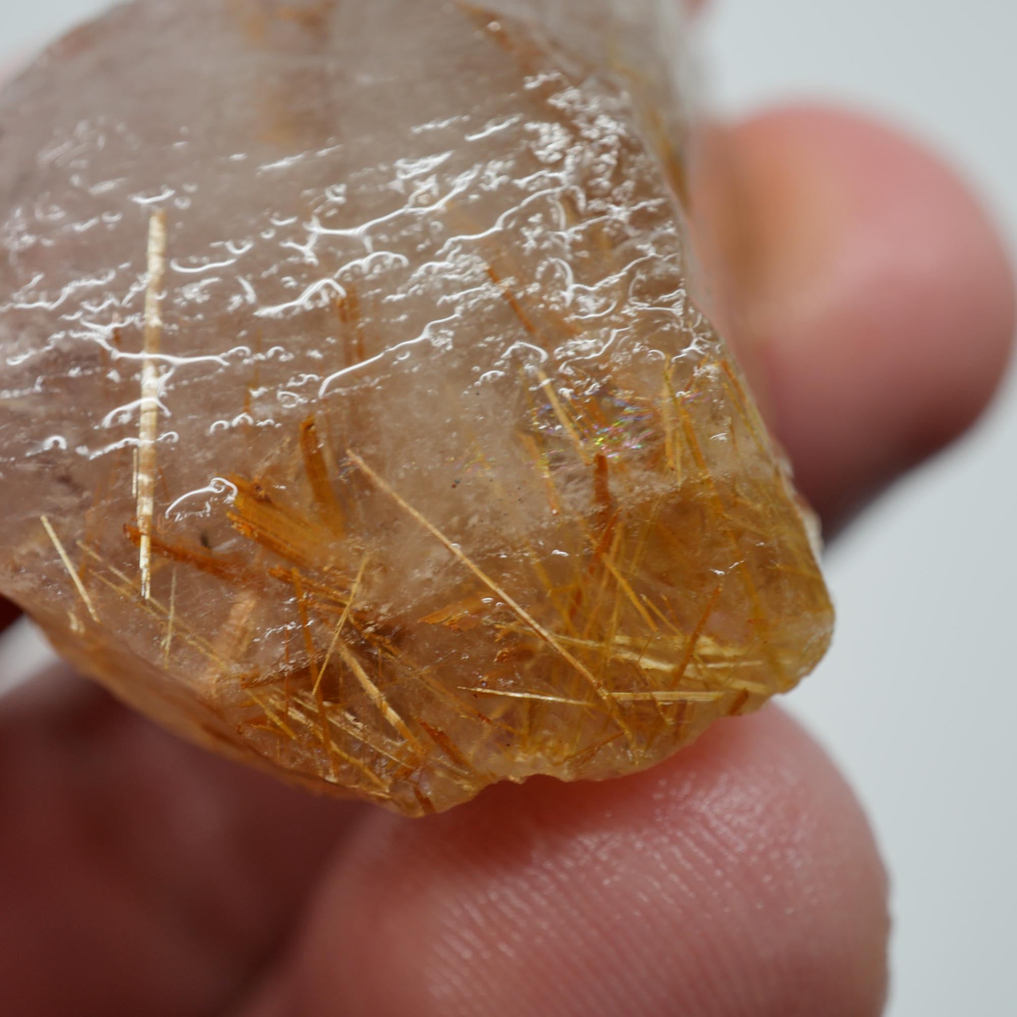 Rutilated Quartz - Golden Sagenite Needles - Brazil Specimen