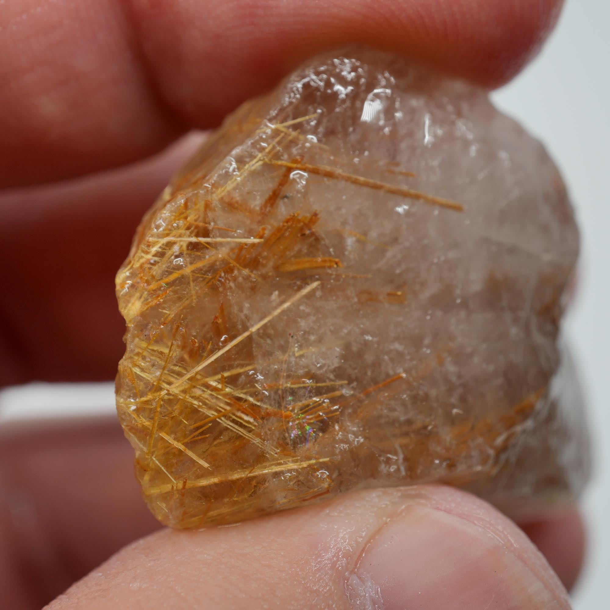 Rutilated Quartz - Golden Sagenite Needles - Brazil Specimen