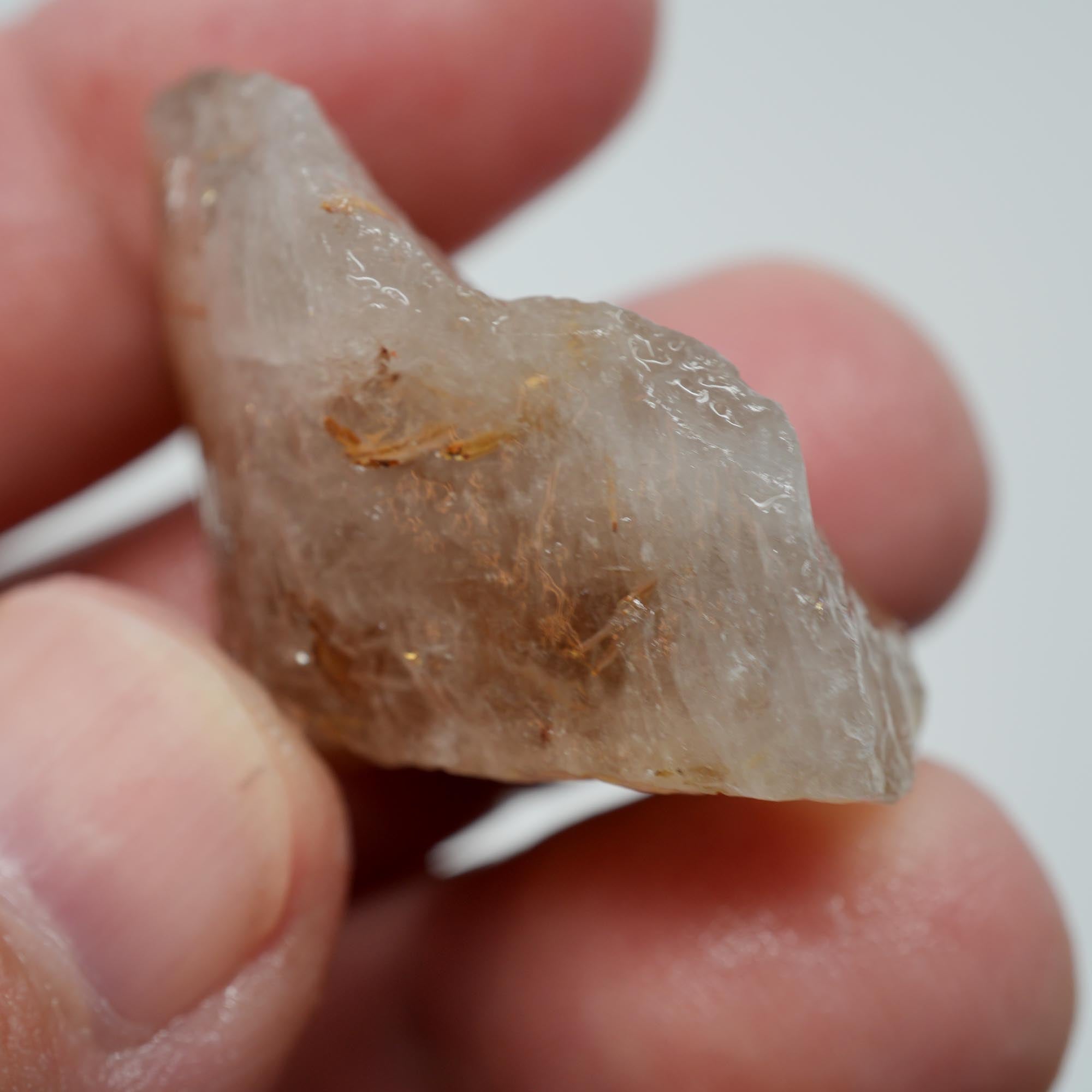 Rutilated Quartz - Golden Sagenite Needles - Brazil Specimen