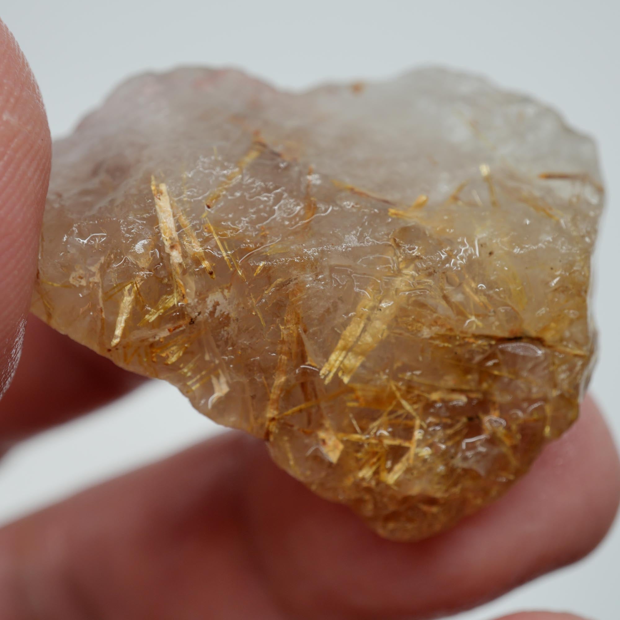 Rutilated Quartz - Golden Sagenite Needles - Brazil Specimen