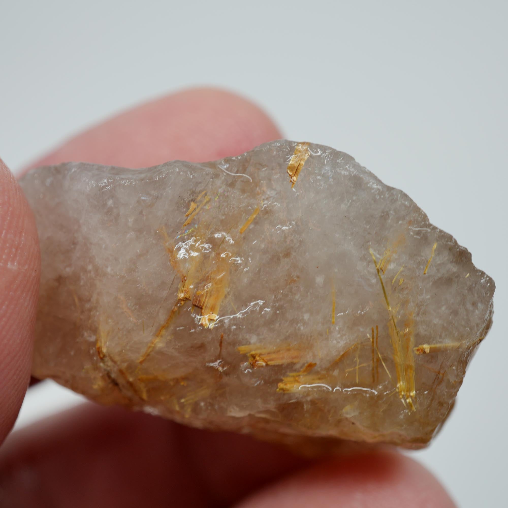 Rutilated Quartz - Golden Sagenite Needles - Brazil Specimen