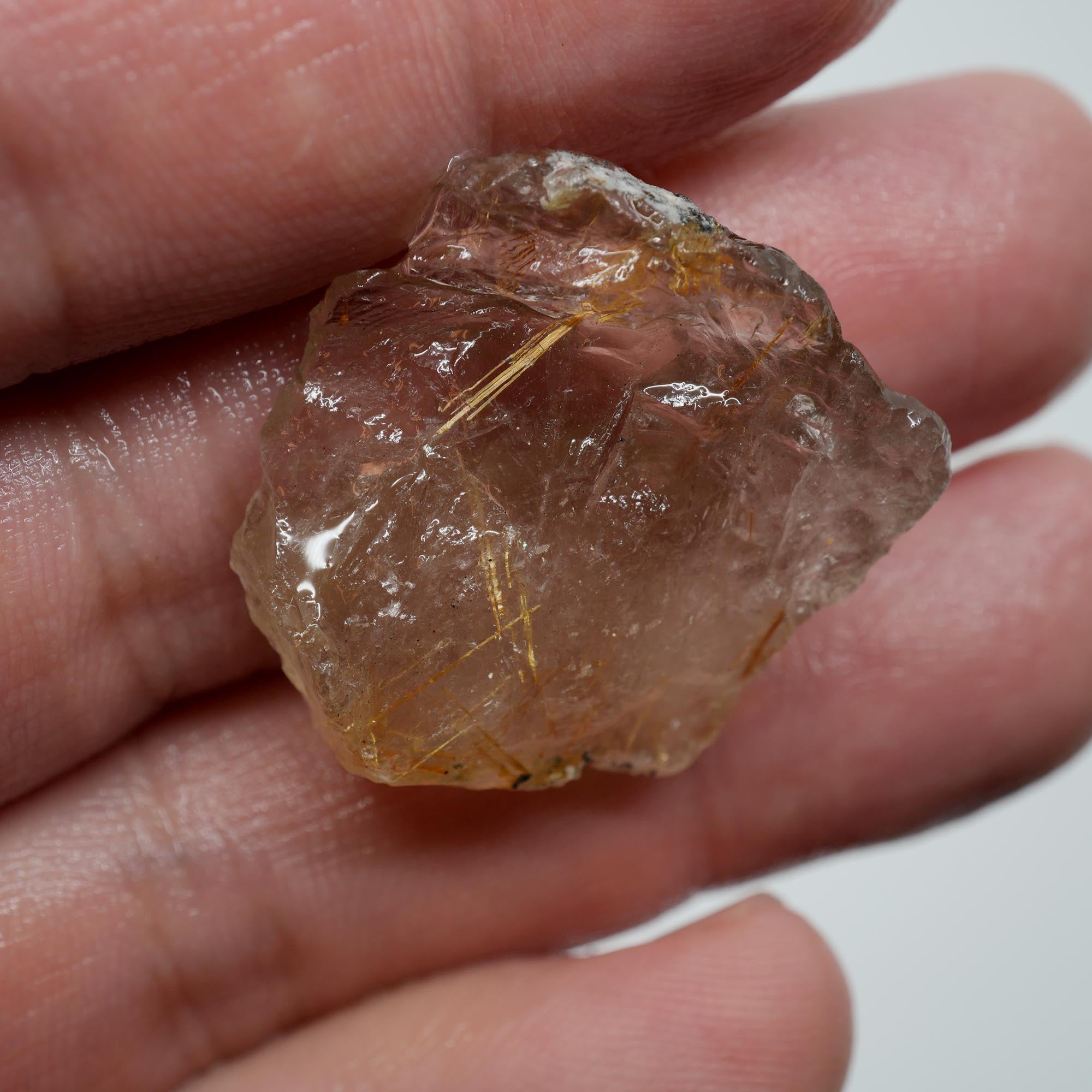 Rutilated Quartz - Rutile Threaded Crystal - Brazilian Specimen
