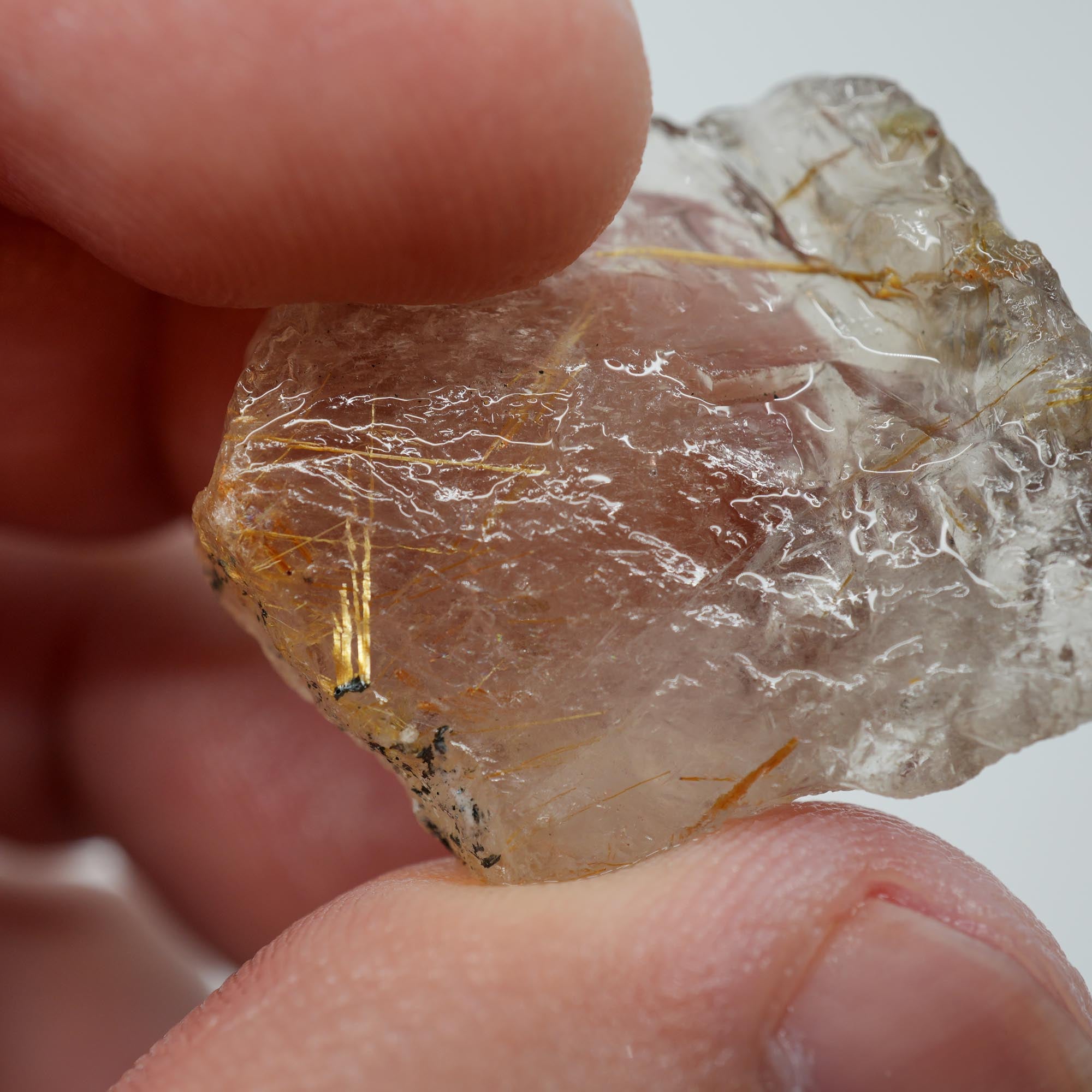 Rutilated Quartz - Rutile Threaded Crystal - Brazilian Specimen