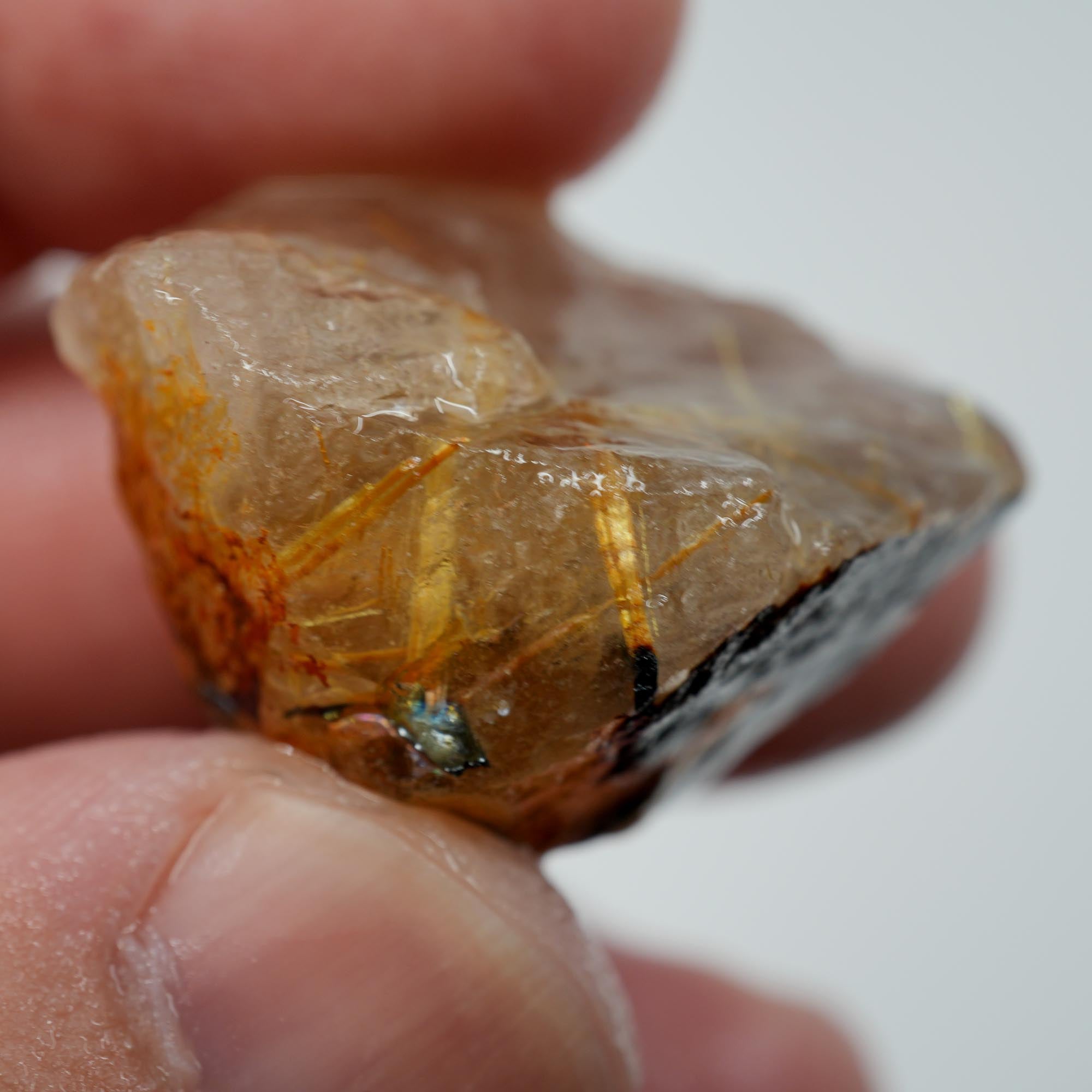 Rutilated Quartz - Golden Needle Quartz Crystal - Brazil Specimen