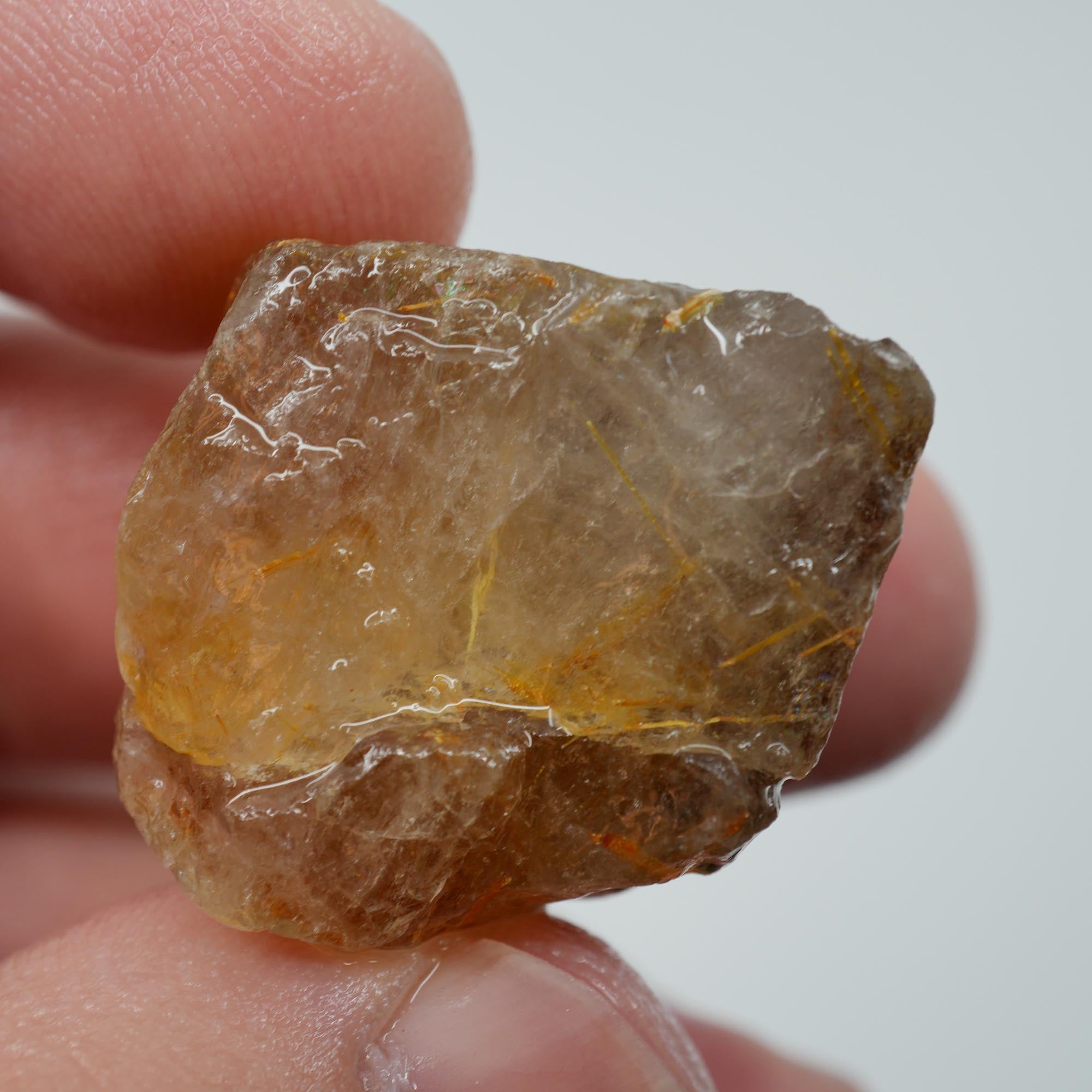 Rutilated Quartz - Golden Needle Quartz Crystal - Brazil Specimen