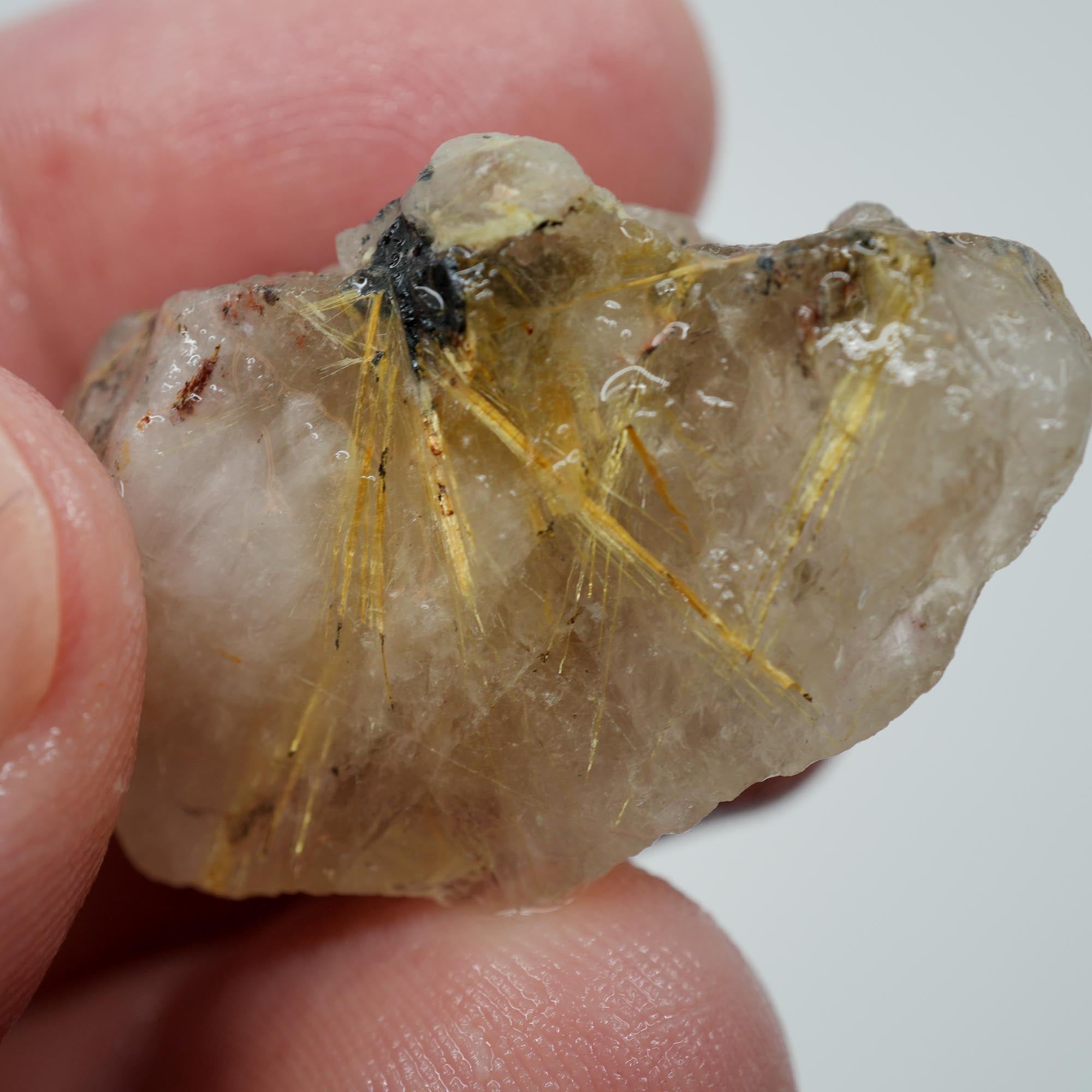 Rutilated Quartz - Golden Rutile Flash Quartz - Brazil Specimen