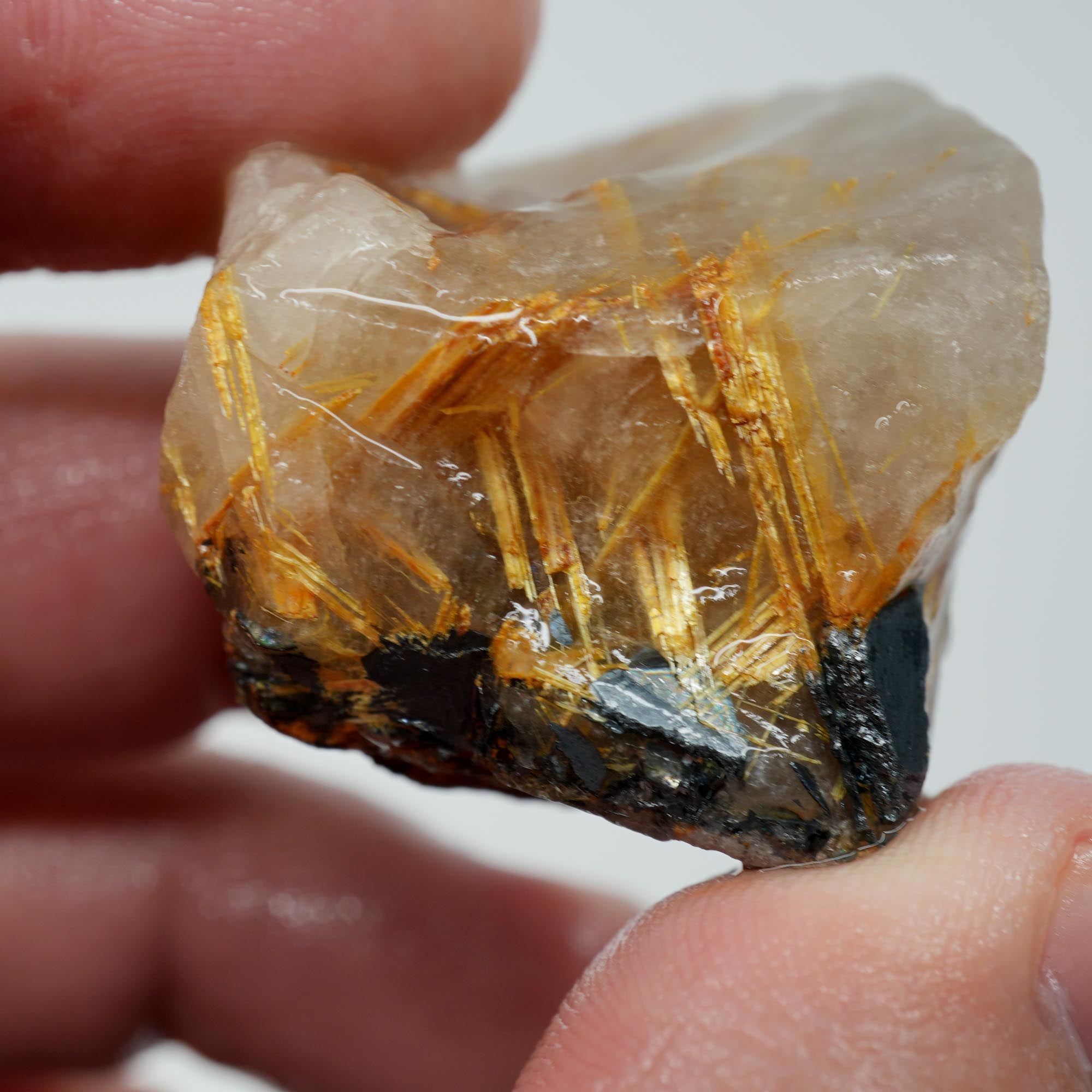 Rutilated Quartz - Fine Rutile Needles - Brazilian Crystal Specimen