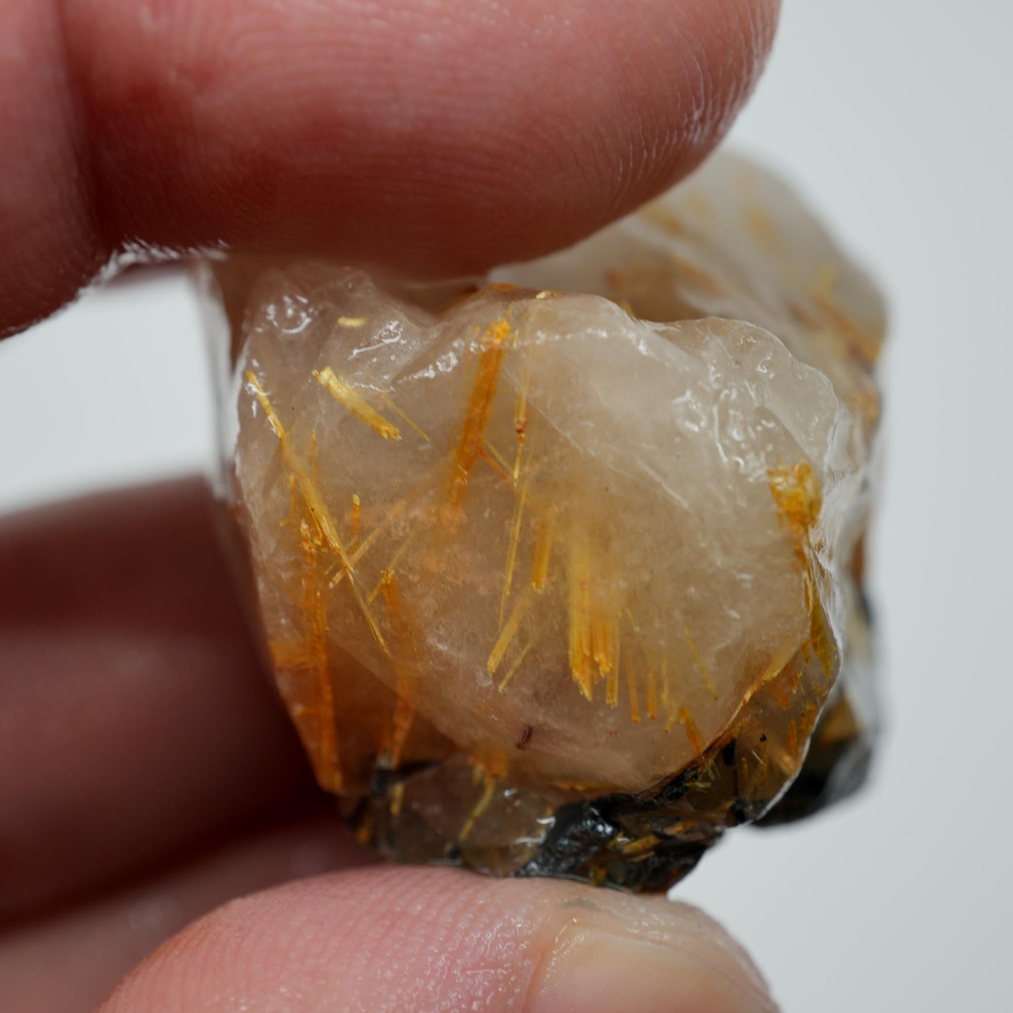 Rutilated Quartz - Fine Rutile Needles - Brazilian Crystal Specimen