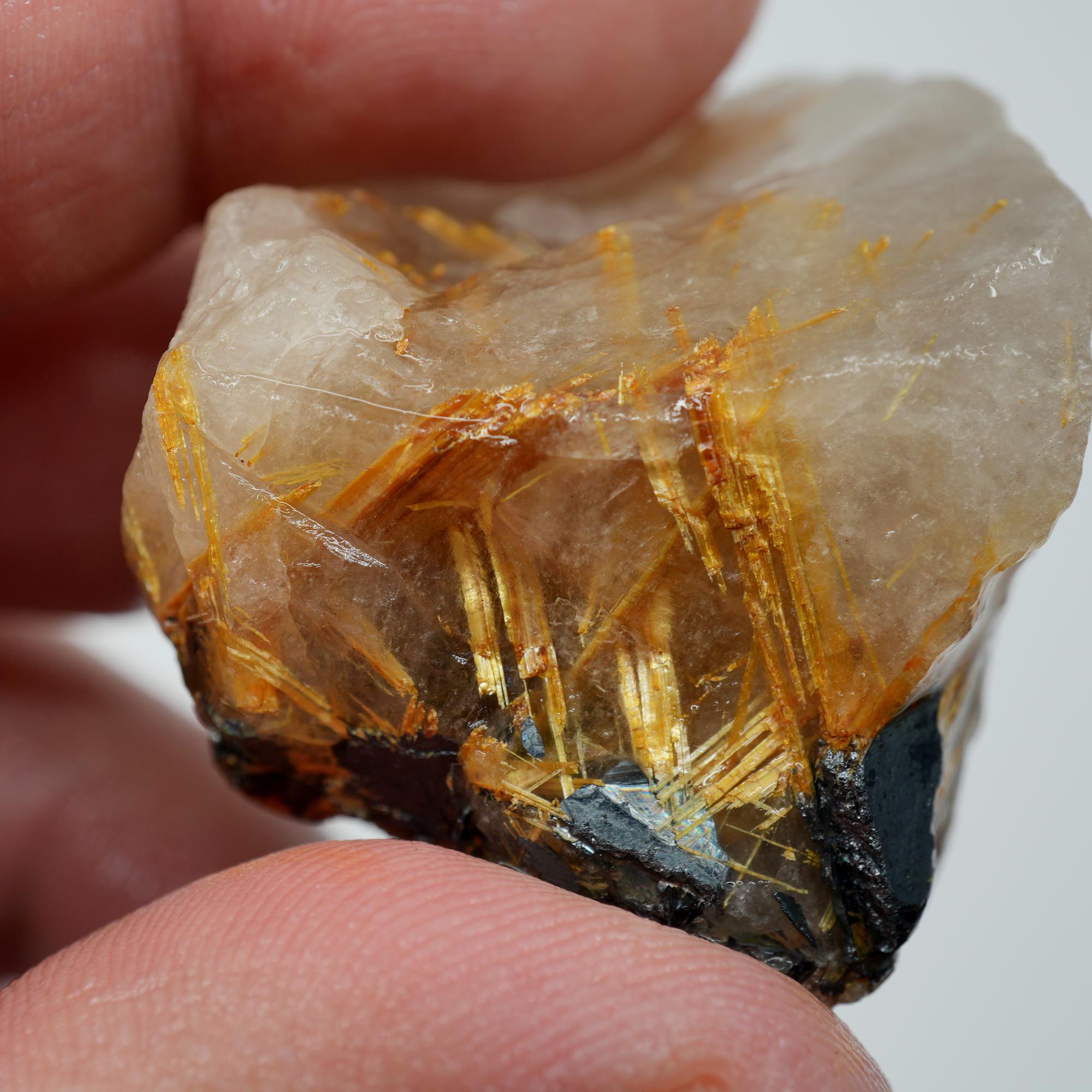 Rutilated Quartz - Fine Rutile Needles - Brazilian Crystal Specimen