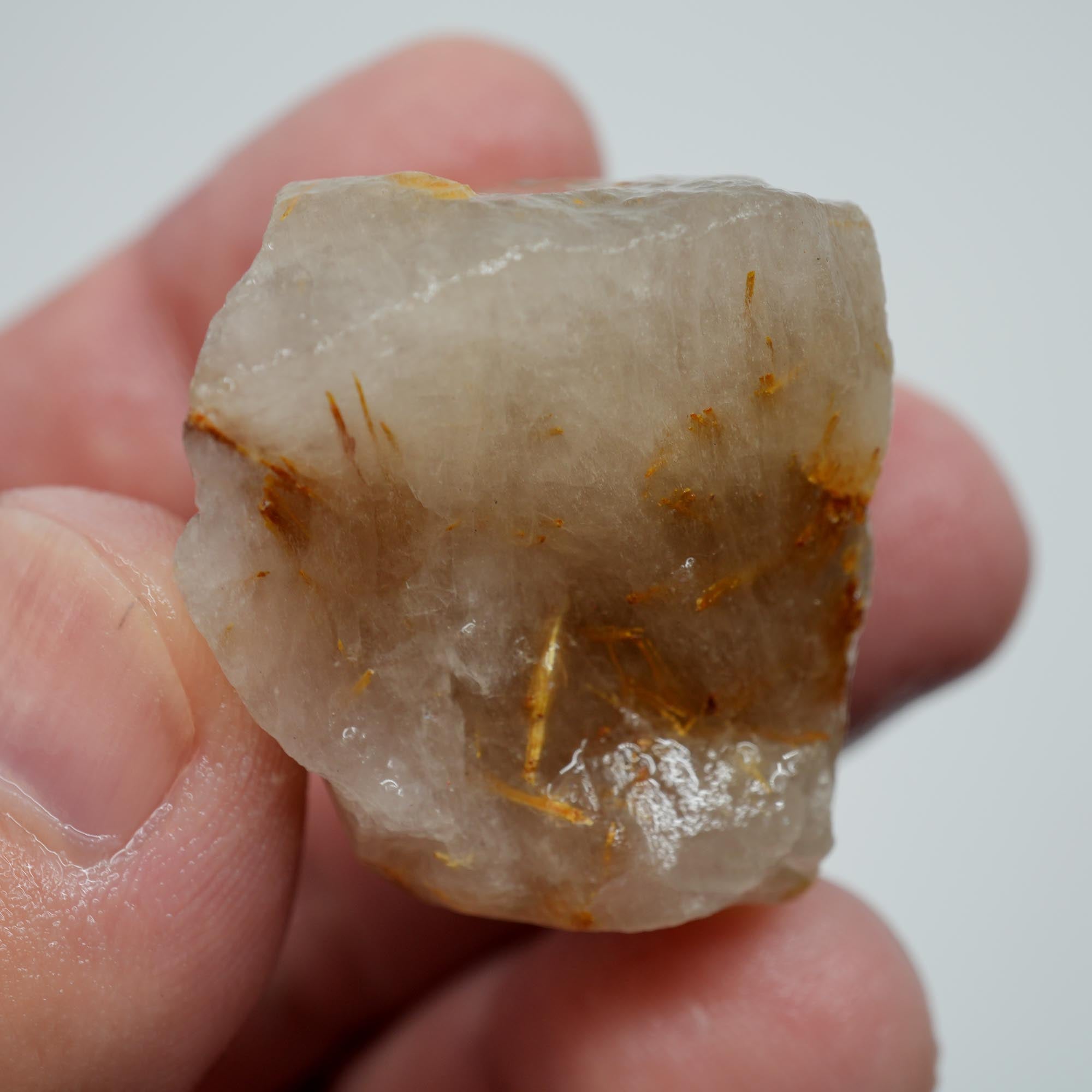 Rutilated Quartz - Fine Rutile Needles - Brazilian Crystal Specimen
