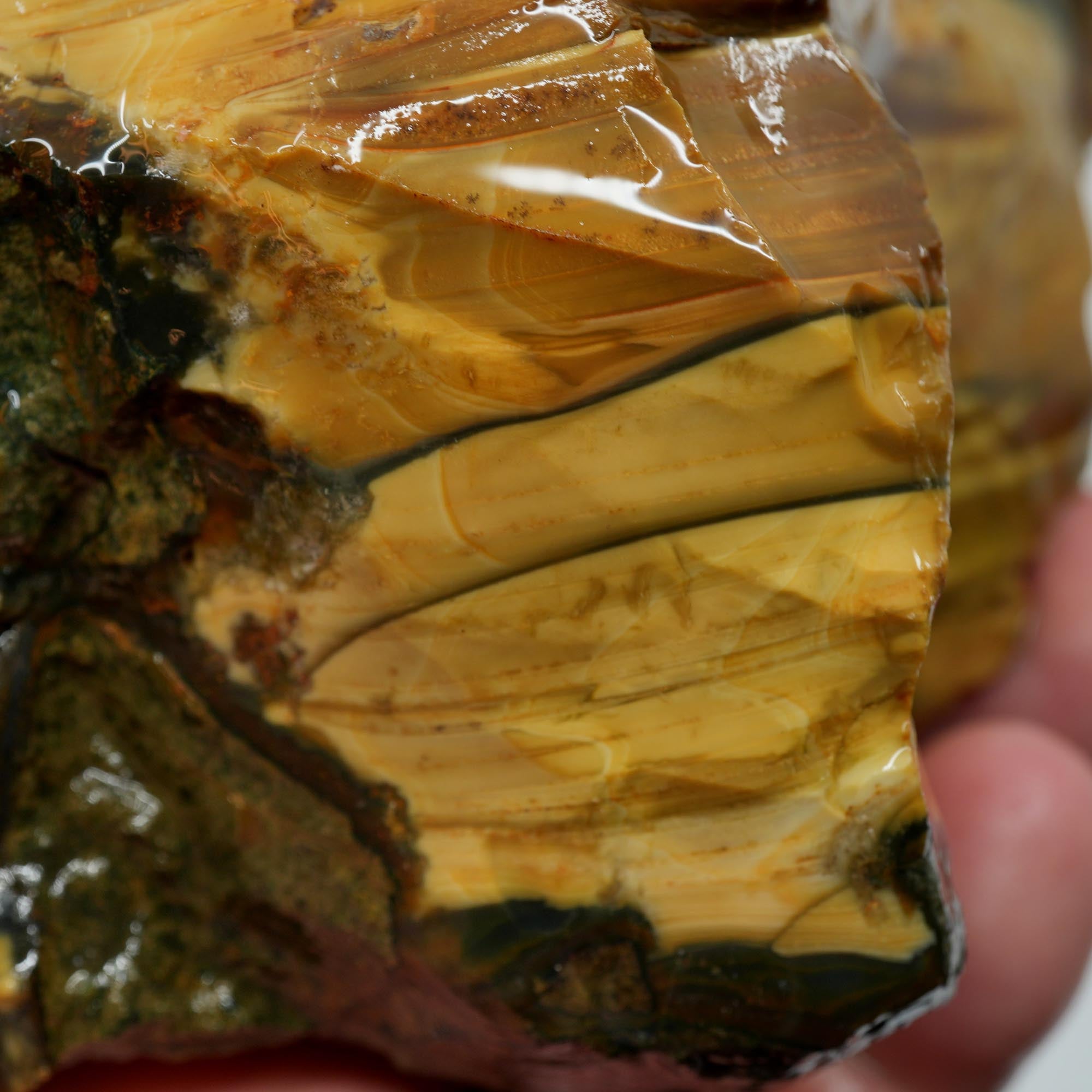Blue Mountain Jasper Rough - Half Orbs and Sunset Color Oregon Orbicular