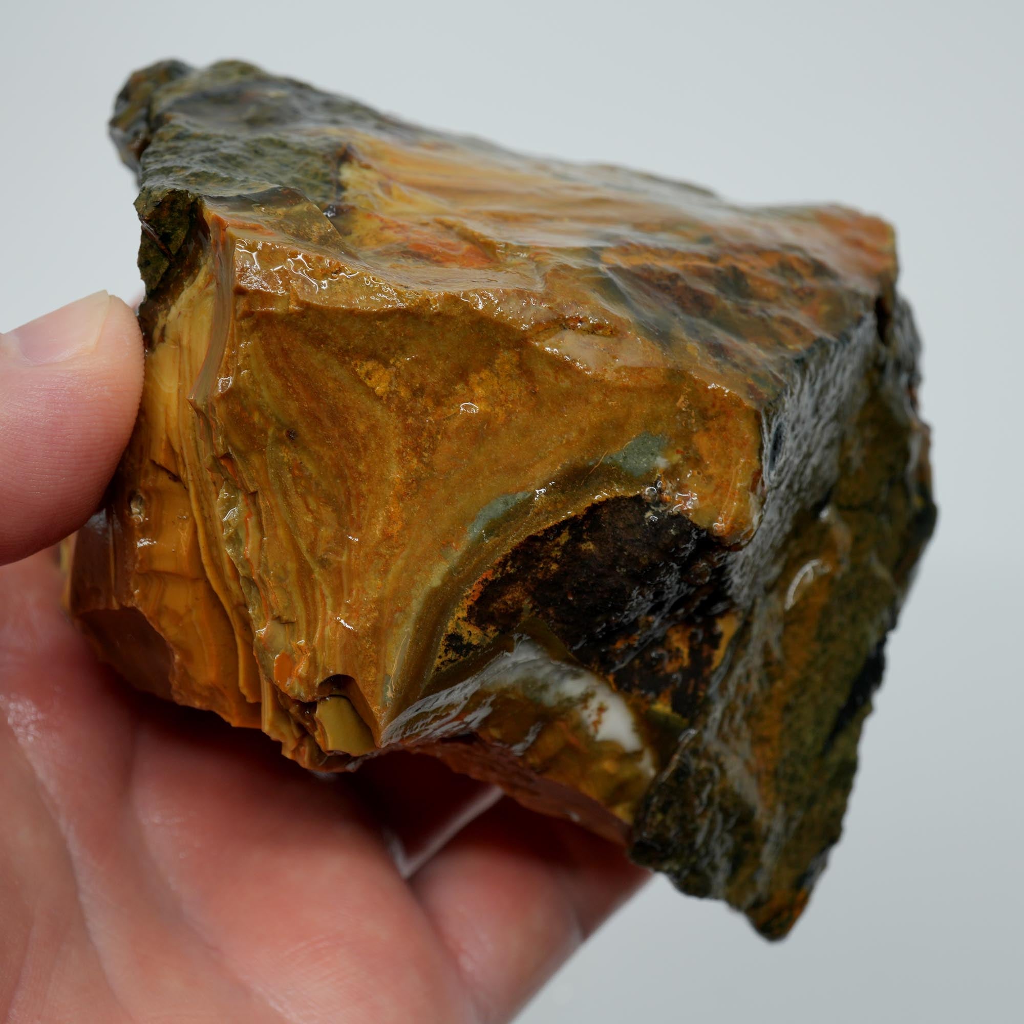 Blue Mountain Jasper Rough - Half Orbs and Sunset Color Oregon Orbicular