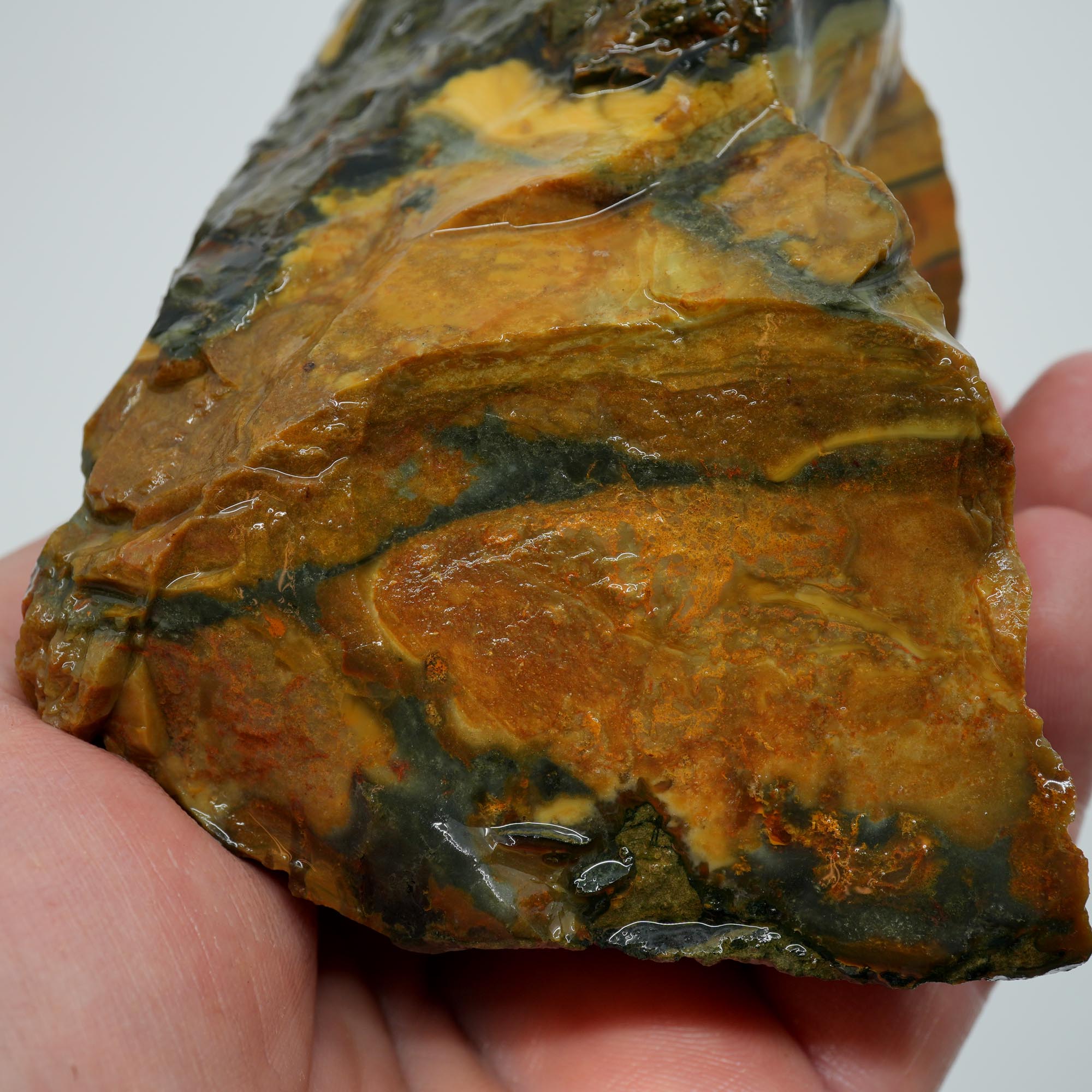 Blue Mountain Jasper Rough - Half Orbs and Sunset Color Oregon Orbicular