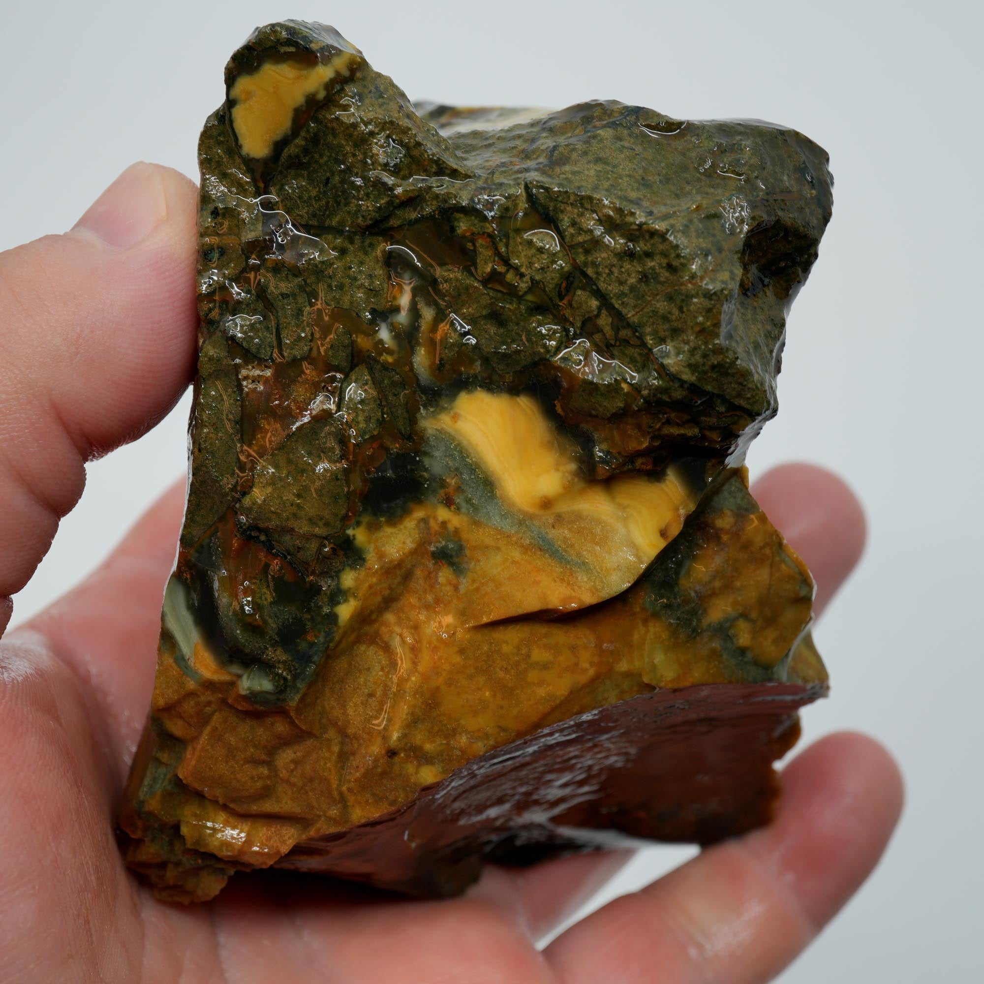 Blue Mountain Jasper Rough - Half Orbs and Sunset Color Oregon Orbicular