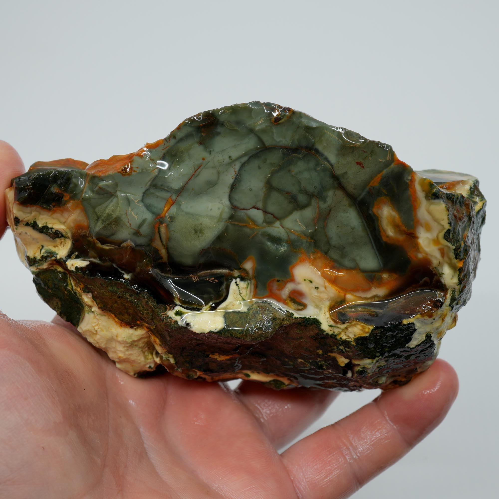 Blue Mountain Jasper Rough - Blue-Green Orbs with Red-Orange Color