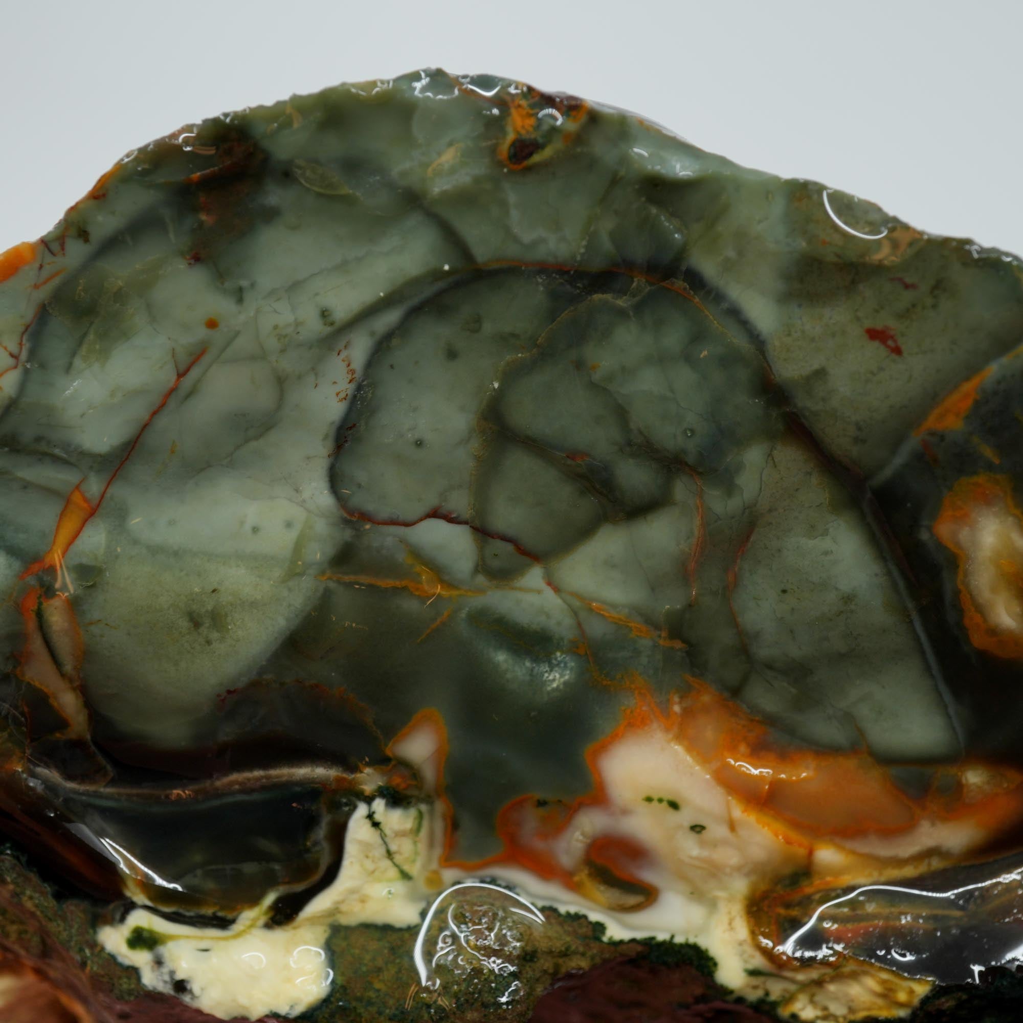 Blue Mountain Jasper Rough - Blue-Green Orbs with Red-Orange Color