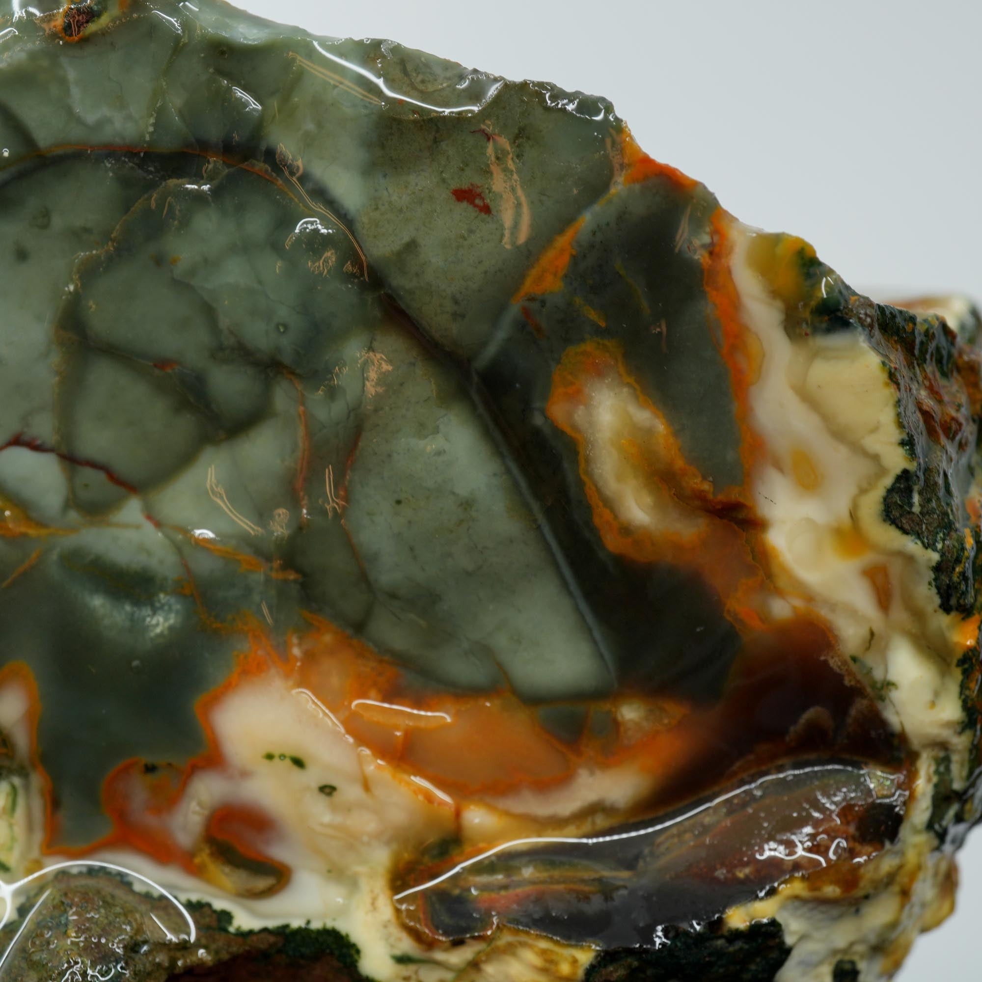 Blue Mountain Jasper Rough - Blue-Green Orbs with Red-Orange Color