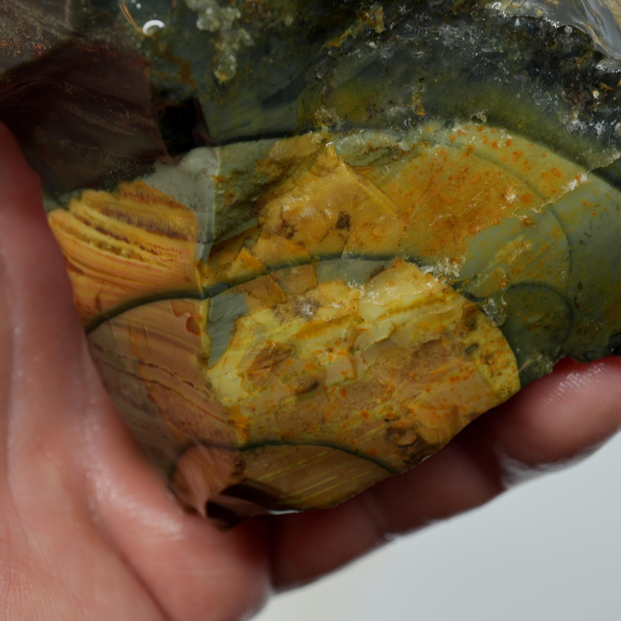 Blue Mountain Jasper Rough - Orbicular Dome-Polish Sunset Paintbrush