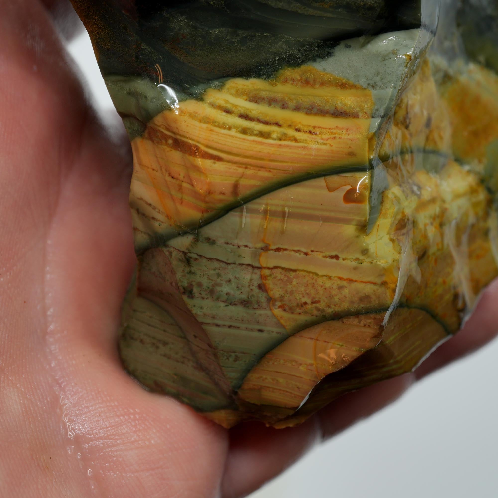 Blue Mountain Jasper Rough - Orbicular Dome-Polish Sunset Paintbrush