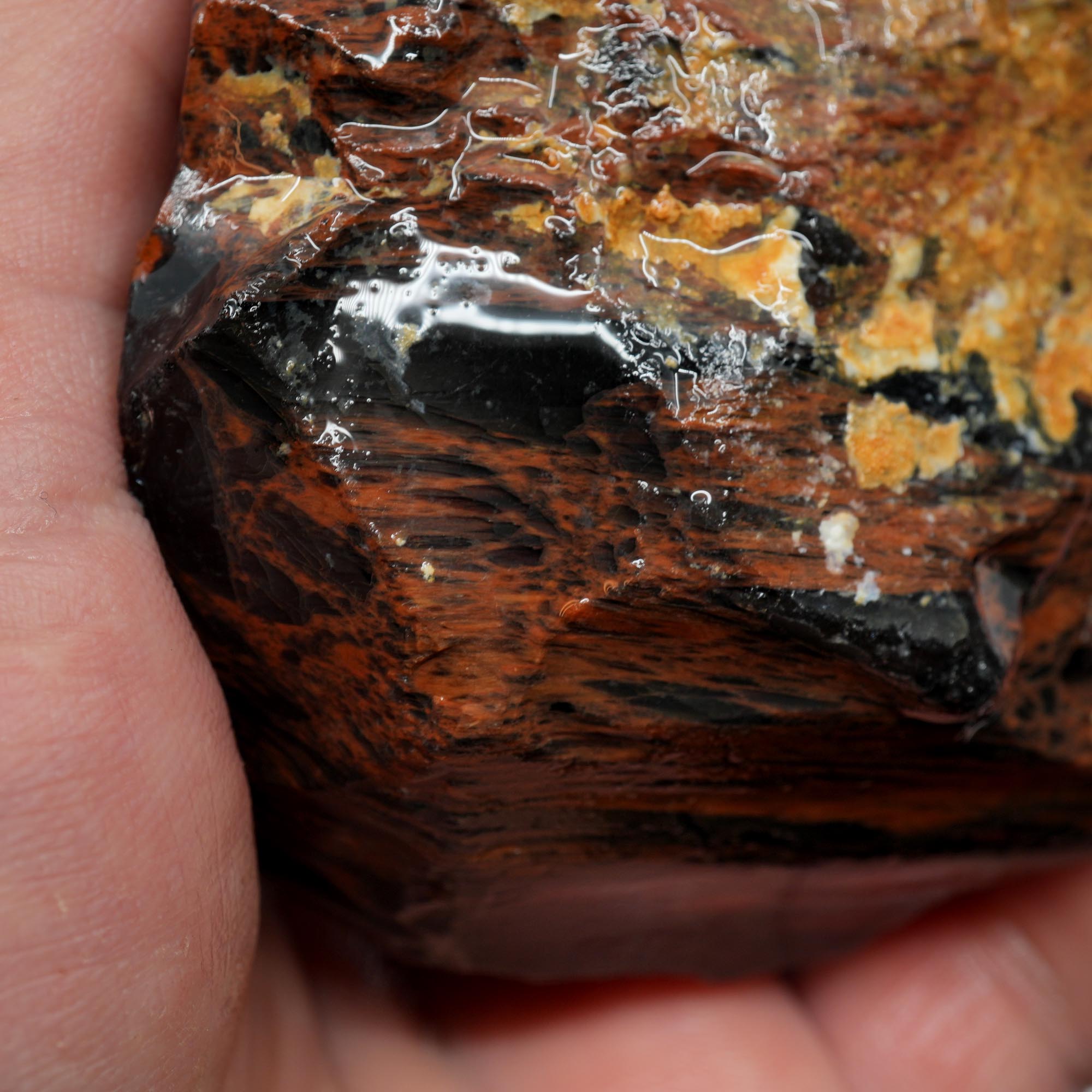Tri-Flow Obsidian Rough - Old Stock Mahogany Flow with Magnetite