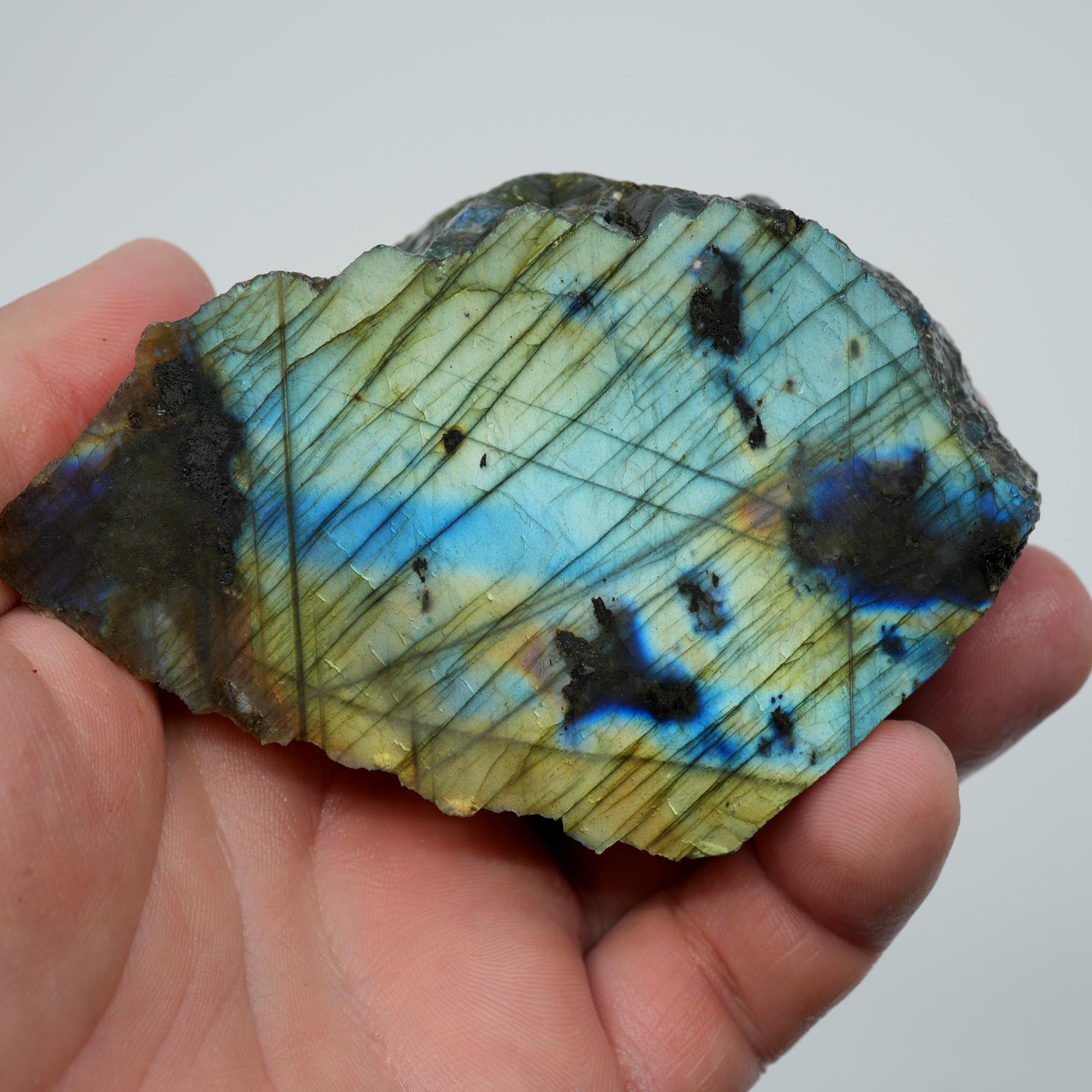 Labradorite Endcut - Blue Green Sunset Gold Flash Cut and Proven