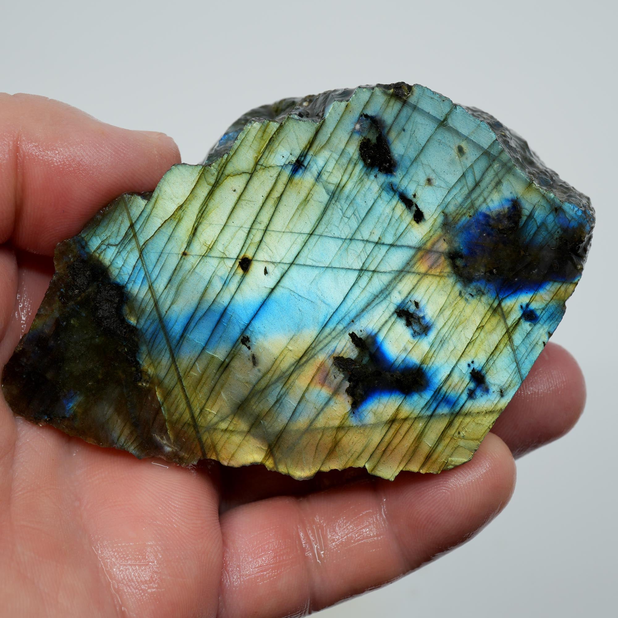Labradorite Endcut - Blue Green Sunset Gold Flash Cut and Proven
