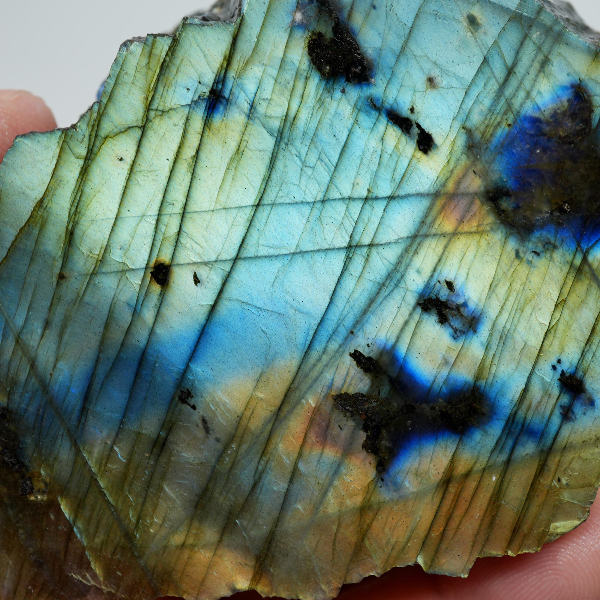 Labradorite Endcut - Blue Green Sunset Gold Flash Cut and Proven