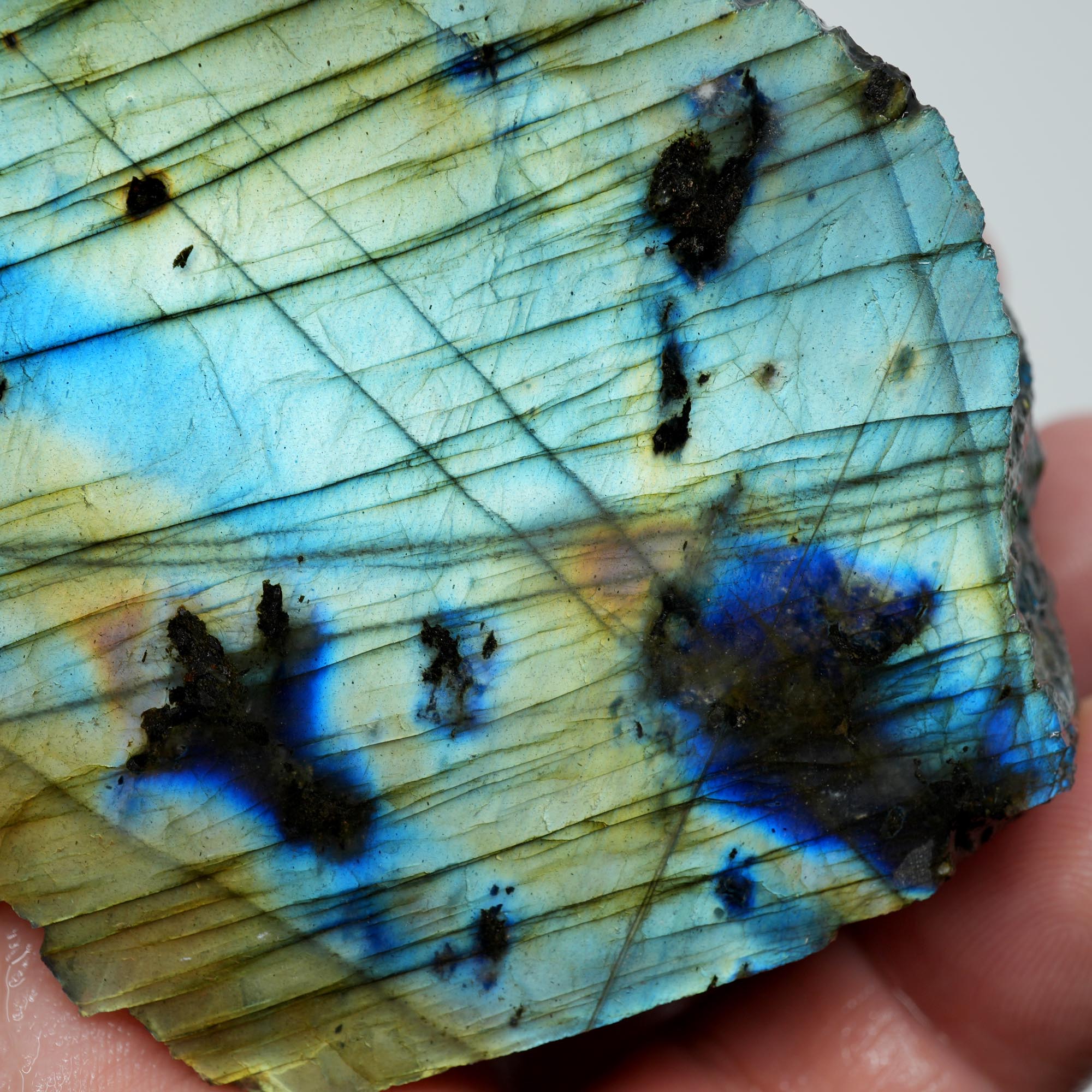Labradorite Endcut - Blue Green Sunset Gold Flash Cut and Proven