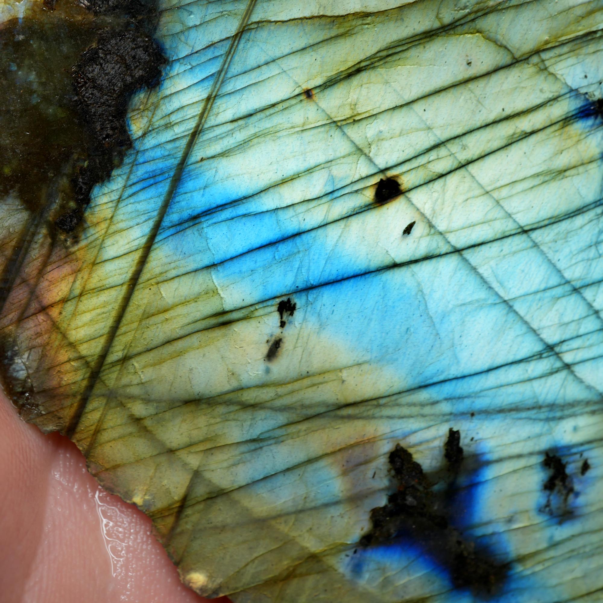 Labradorite Endcut - Blue Green Sunset Gold Flash Cut and Proven