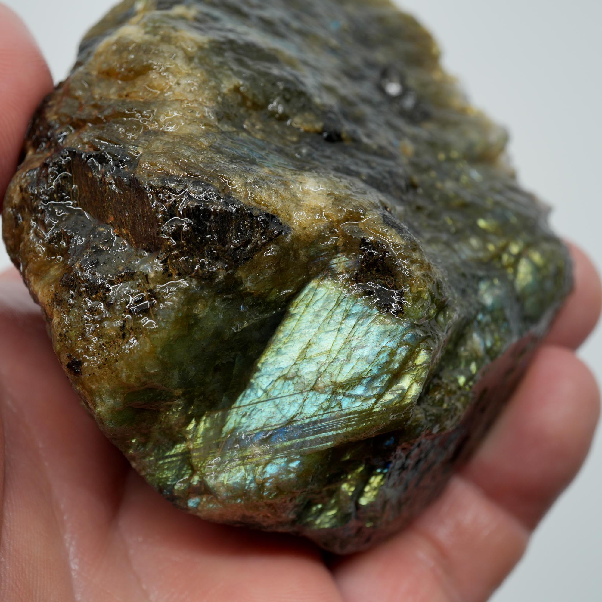 Labradorite Endcut - Blue Green Sunset Gold Flash Cut and Proven