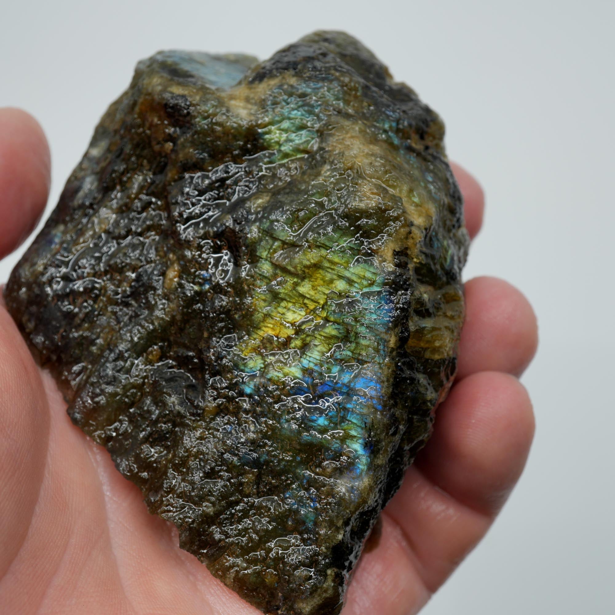 Labradorite Endcut - Blue Green Sunset Gold Flash Cut and Proven