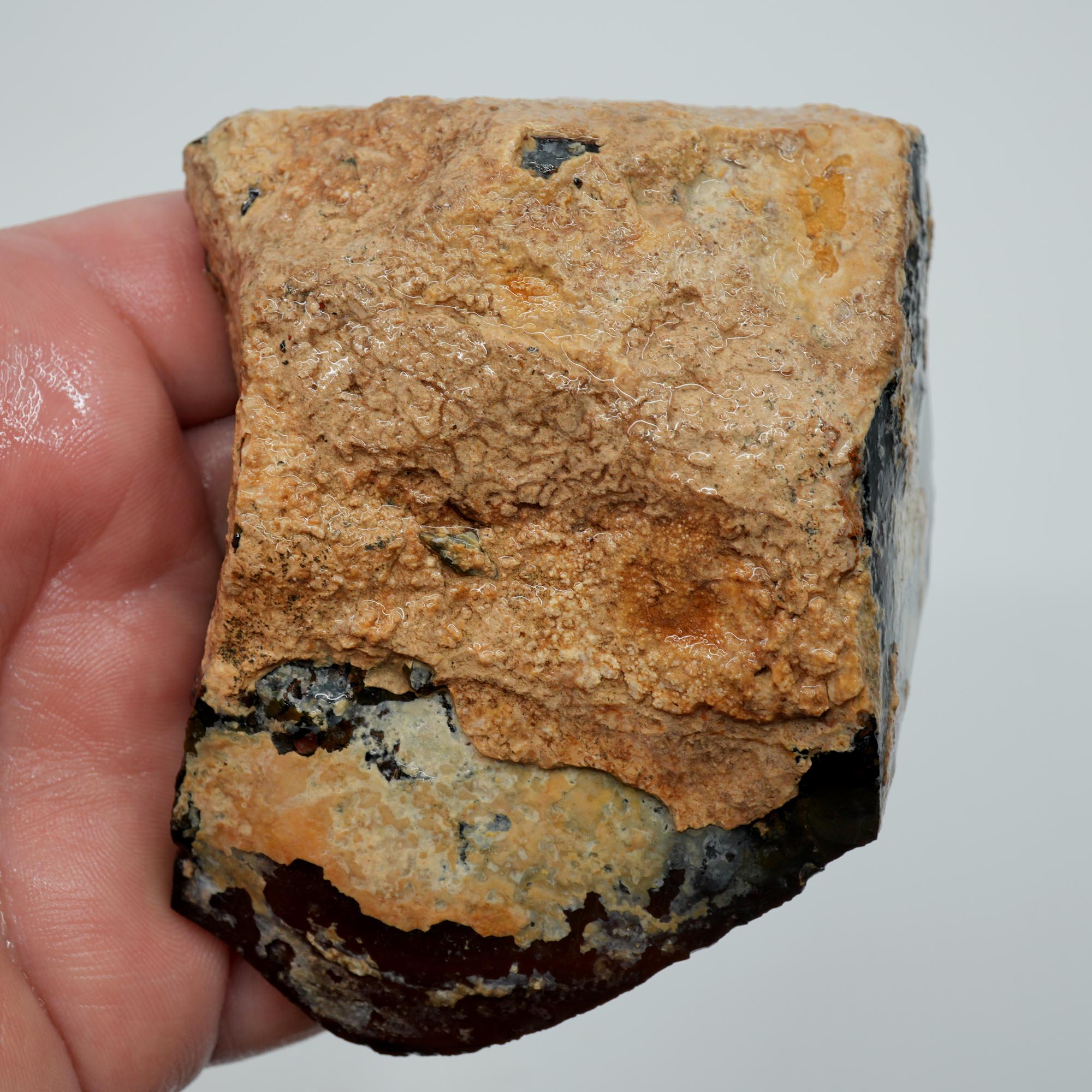Whiskey Creek Orbicular Jasper Rough - Smoky Orbs and Breccia Owyhee Idaho