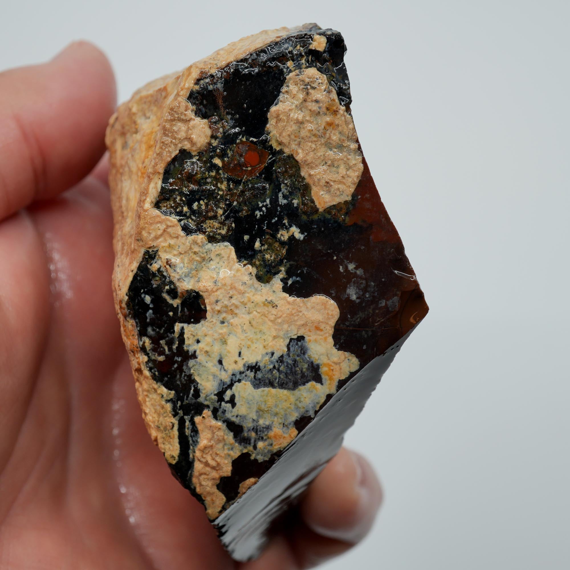Whiskey Creek Orbicular Jasper Rough - Smoky Orbs and Breccia Owyhee Idaho