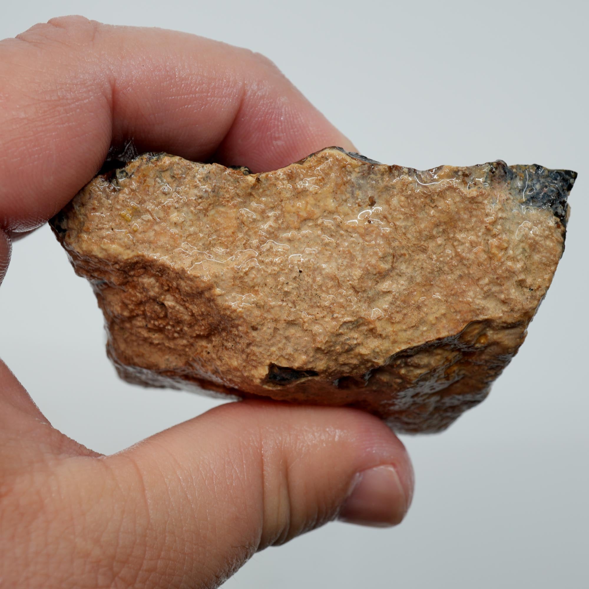Whiskey Creek Orbicular Jasper Rough - Smoky Orbs and Breccia Owyhee Idaho