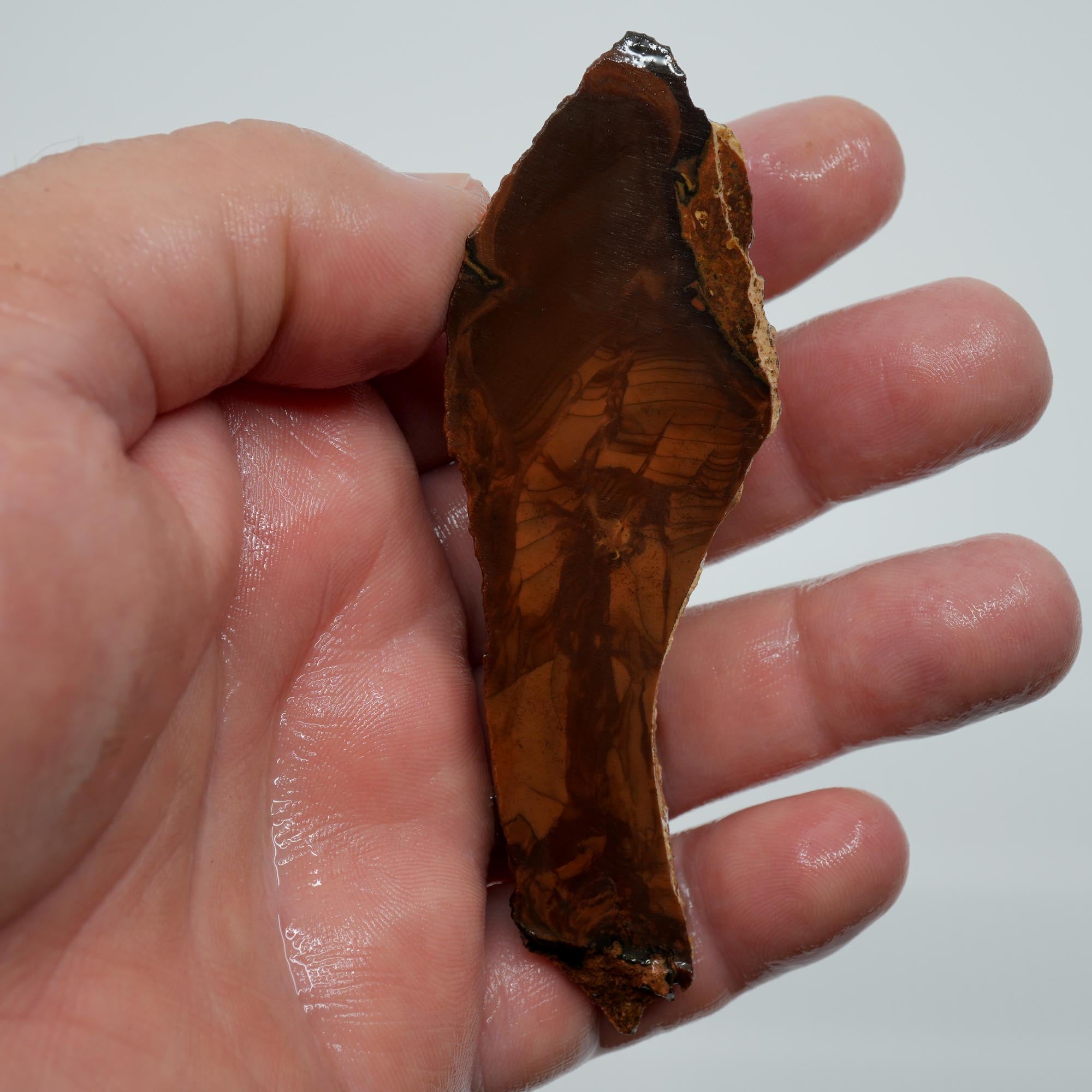Whiskey Creek Orbicular Jasper Endcut - Cut Face with Orbs on Top