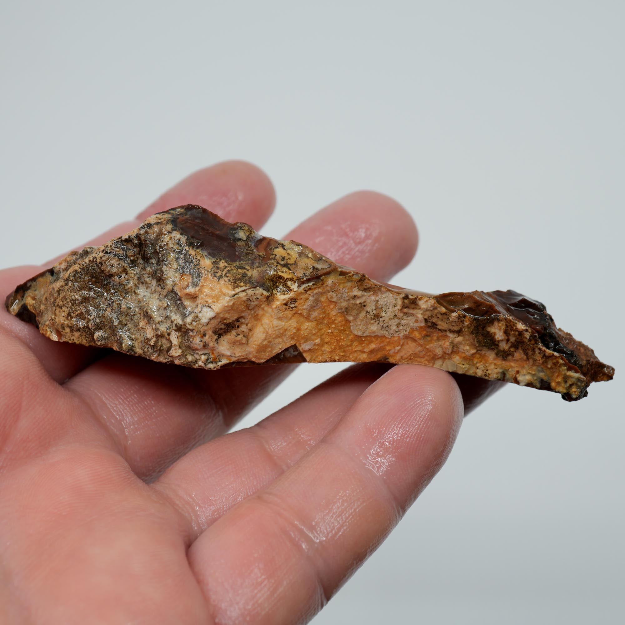 Whiskey Creek Orbicular Jasper Endcut - Cut Face with Orbs on Top