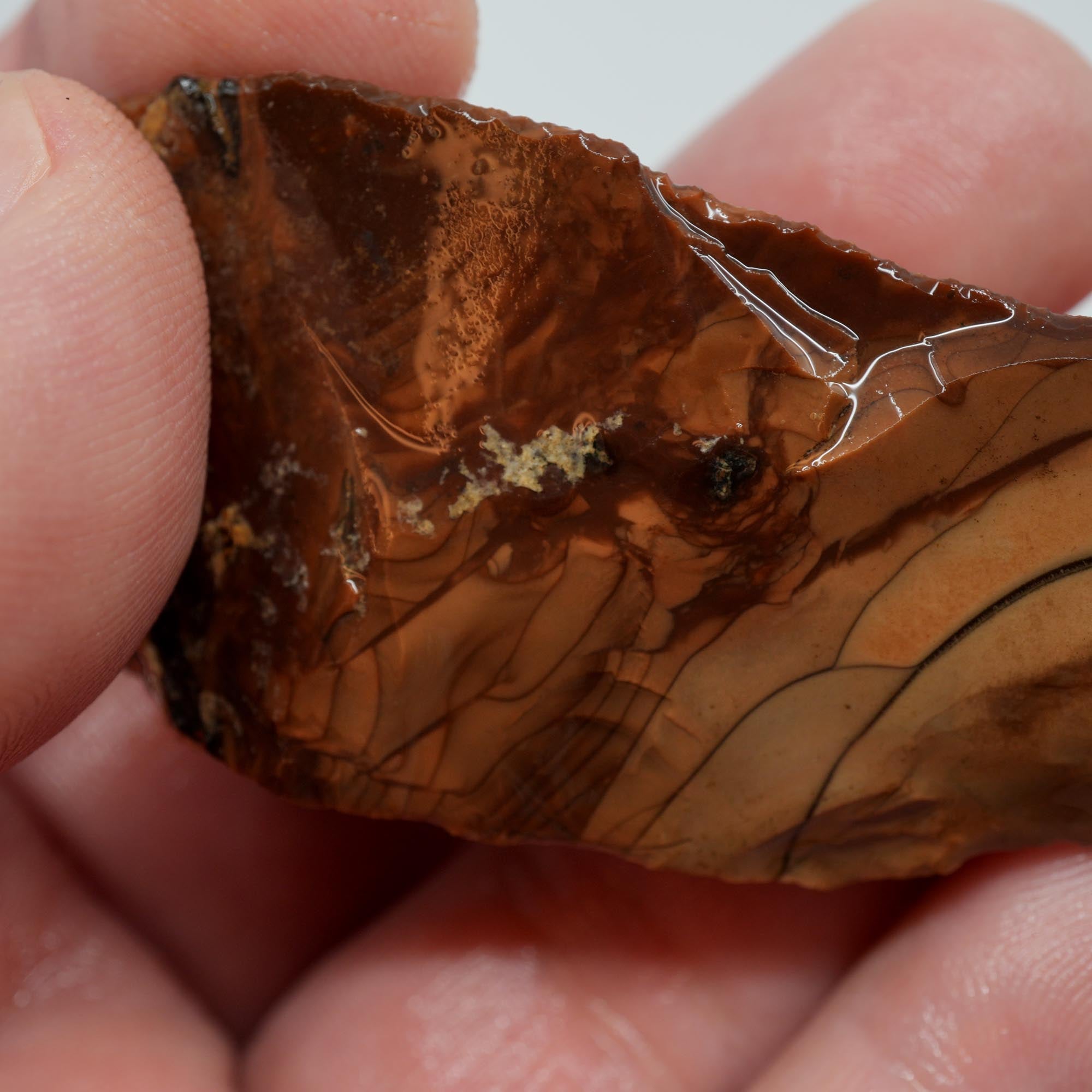 Whiskey Creek Orbicular Jasper Endcut - Cut Face with Orbs on Top
