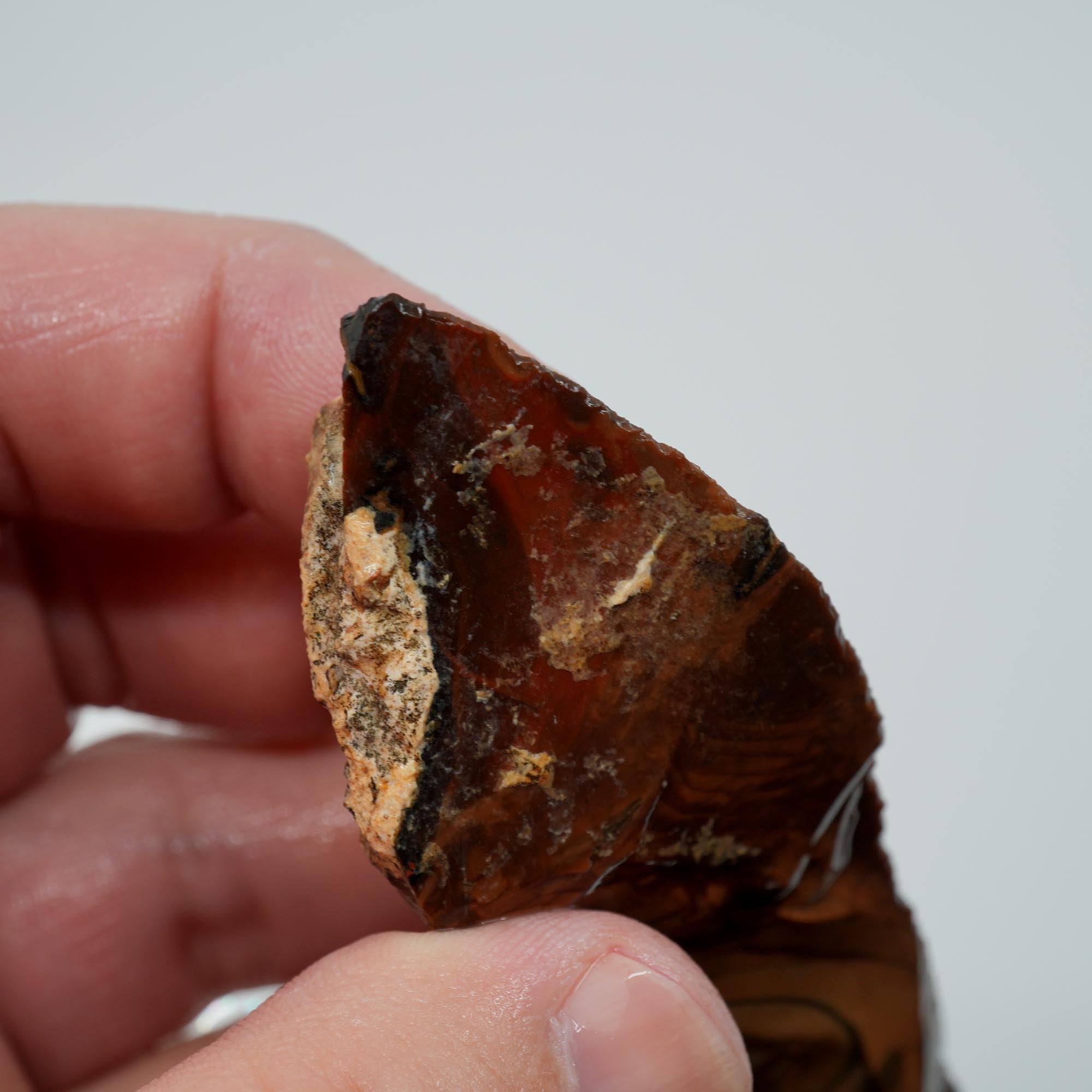 Whiskey Creek Orbicular Jasper Endcut - Cut Face with Orbs on Top
