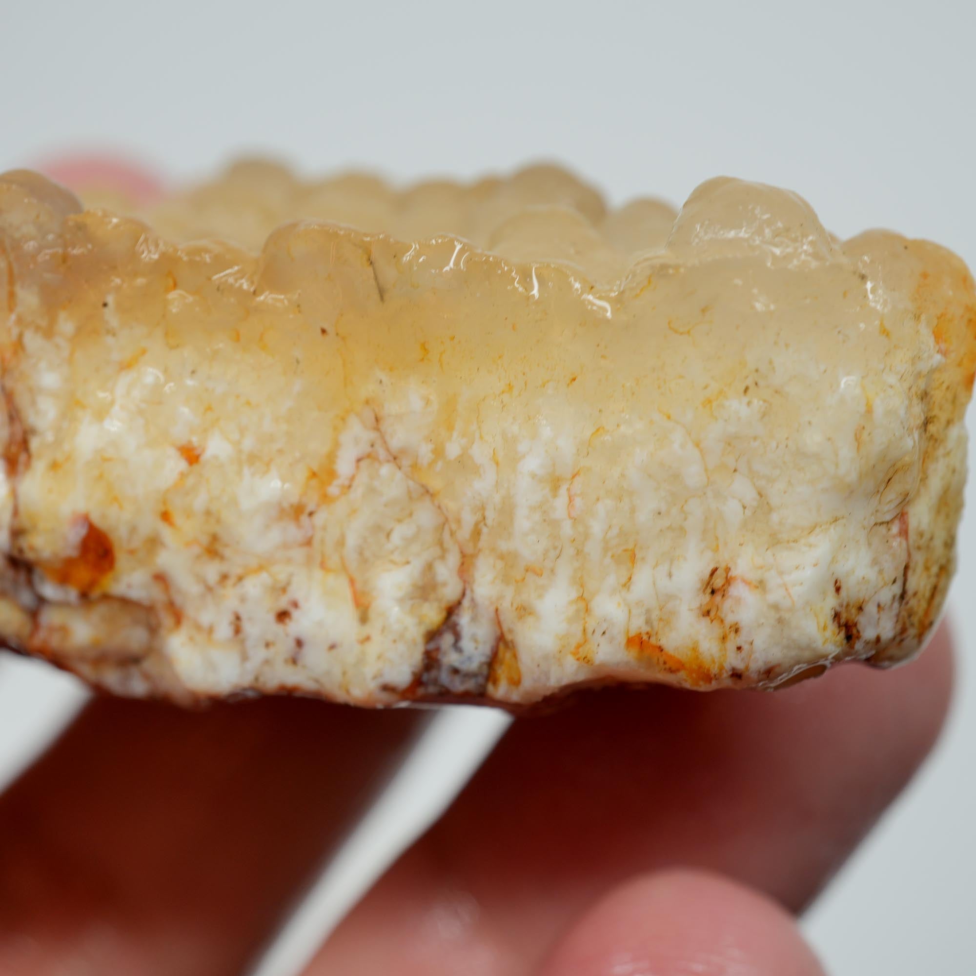 Stinking Water Plume Agate Rough - White Forest Plume with Botryoidal Top