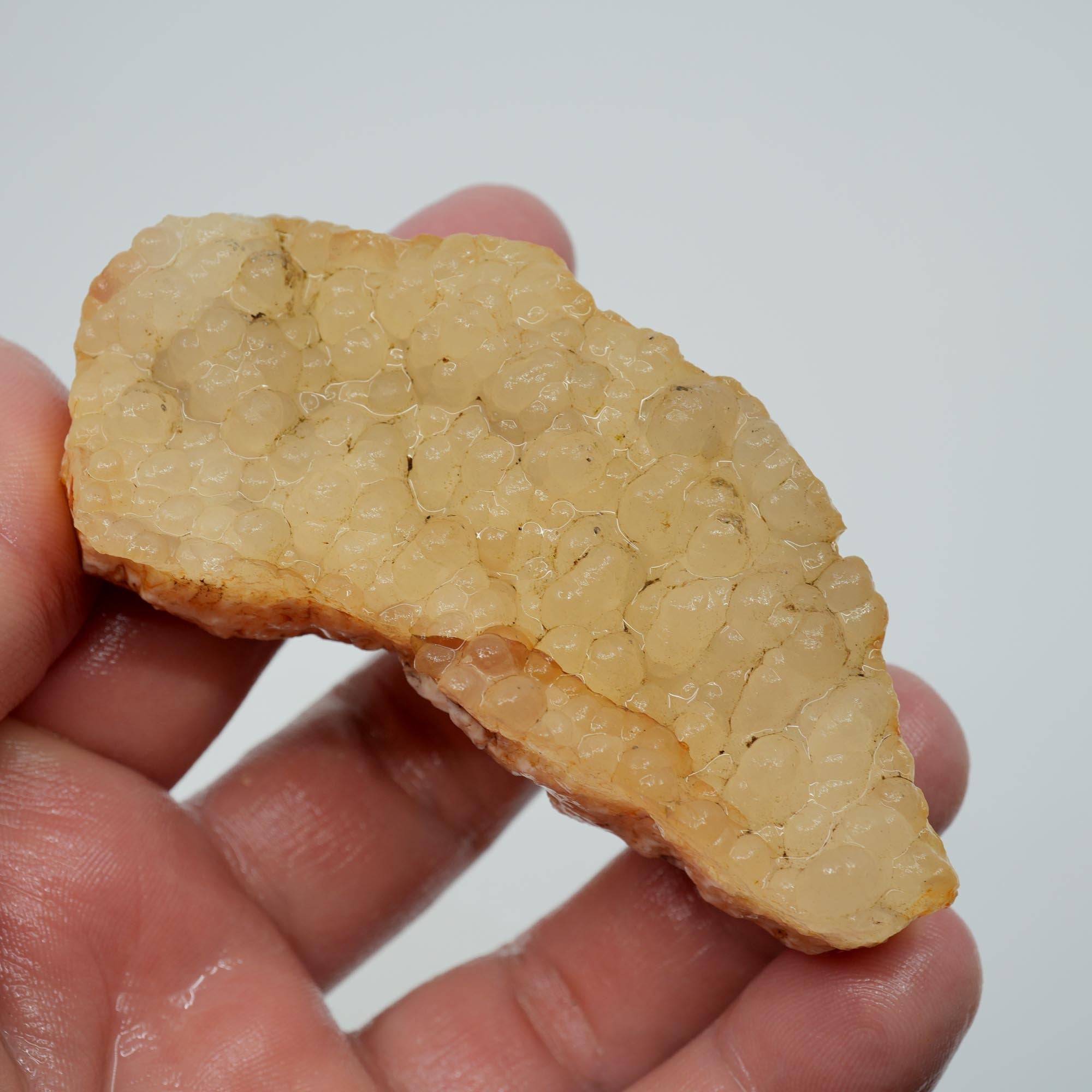 Stinking Water Plume Agate Rough - White Forest Plume with Botryoidal Top