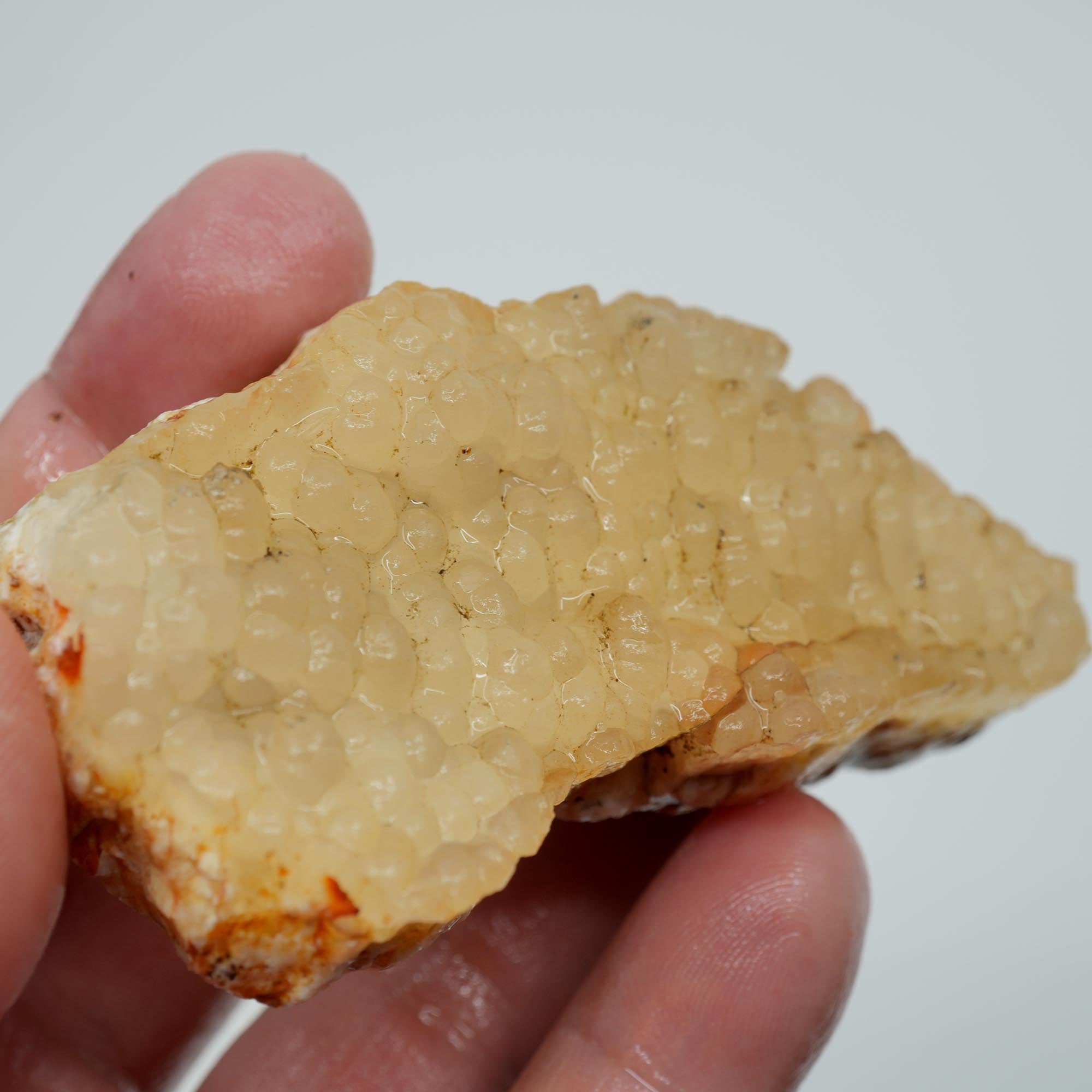 Stinking Water Plume Agate Rough - White Forest Plume with Botryoidal Top