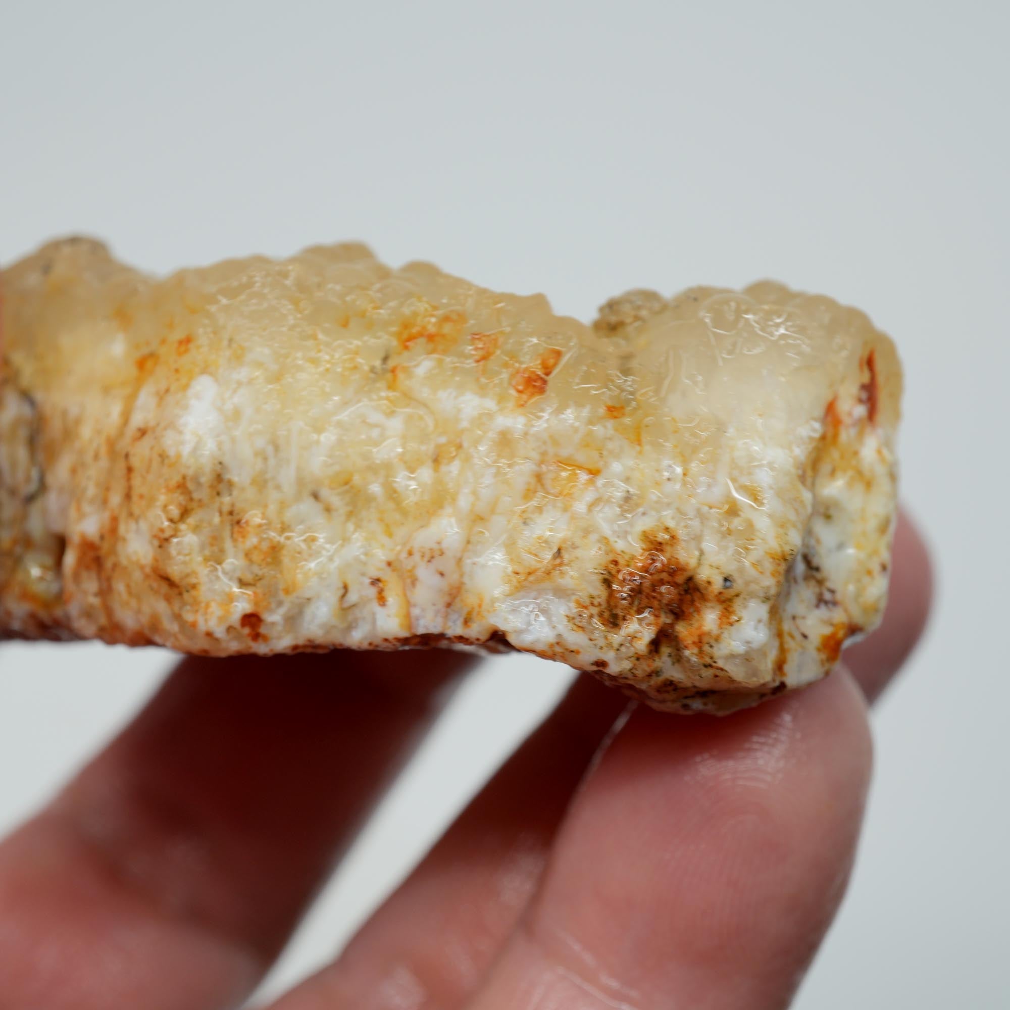 Stinking Water Plume Agate Rough - White Forest Plume with Botryoidal Top