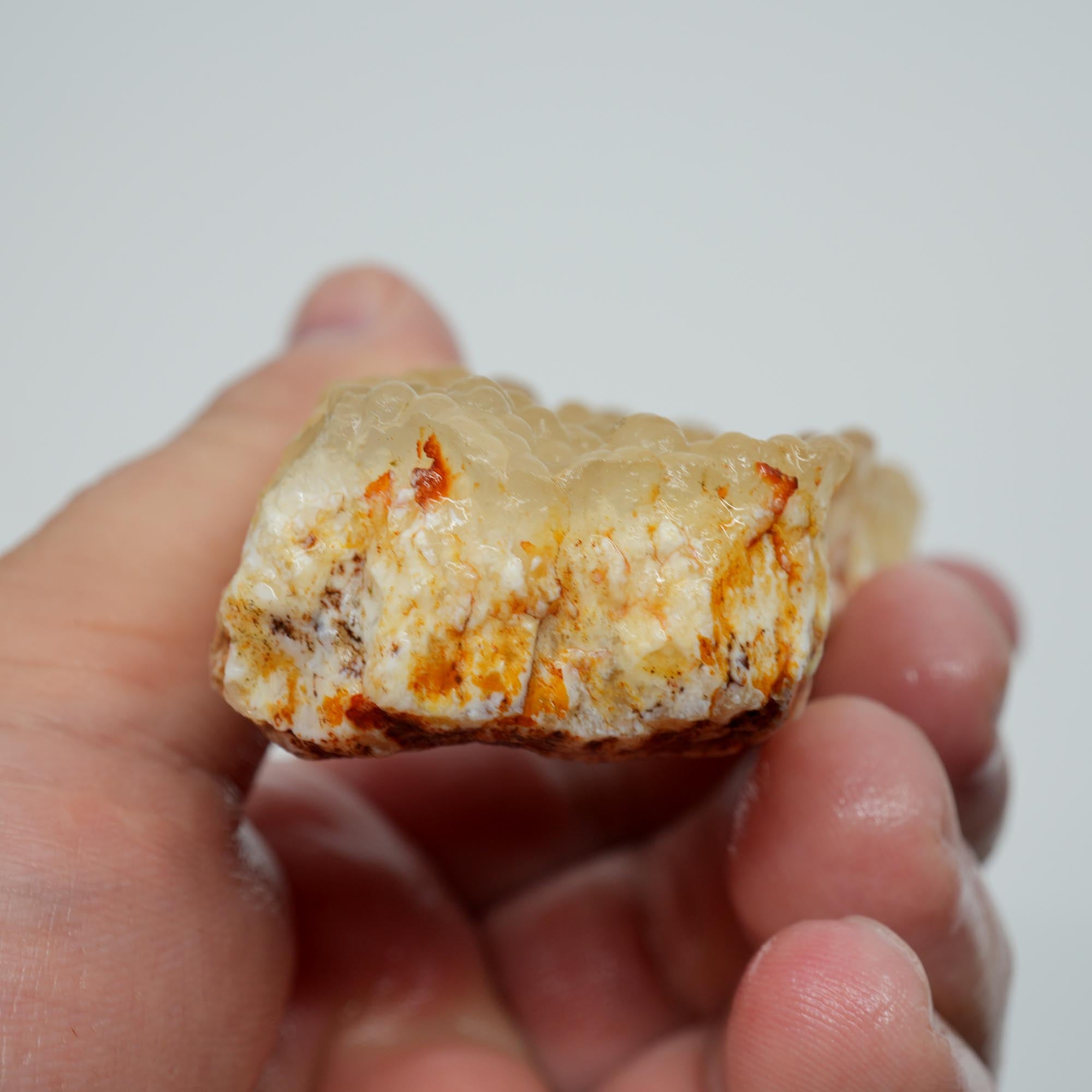 Stinking Water Plume Agate Rough - White Forest Plume with Botryoidal Top