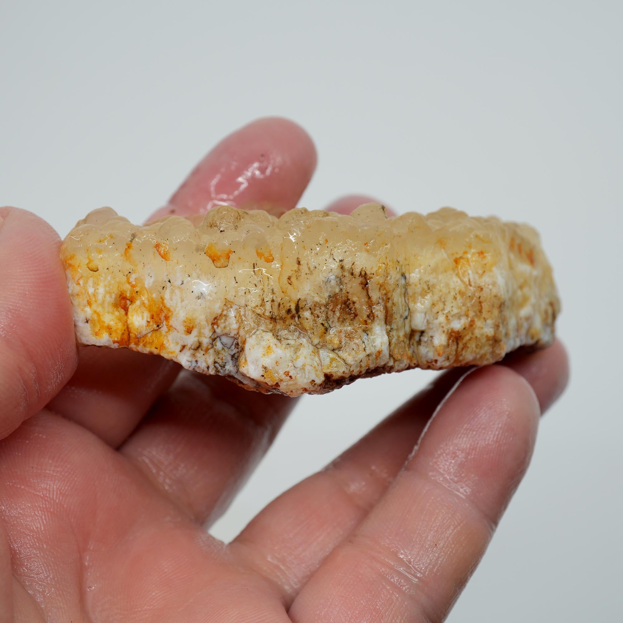 Stinking Water Plume Agate Rough - White Forest Plume with Botryoidal Top