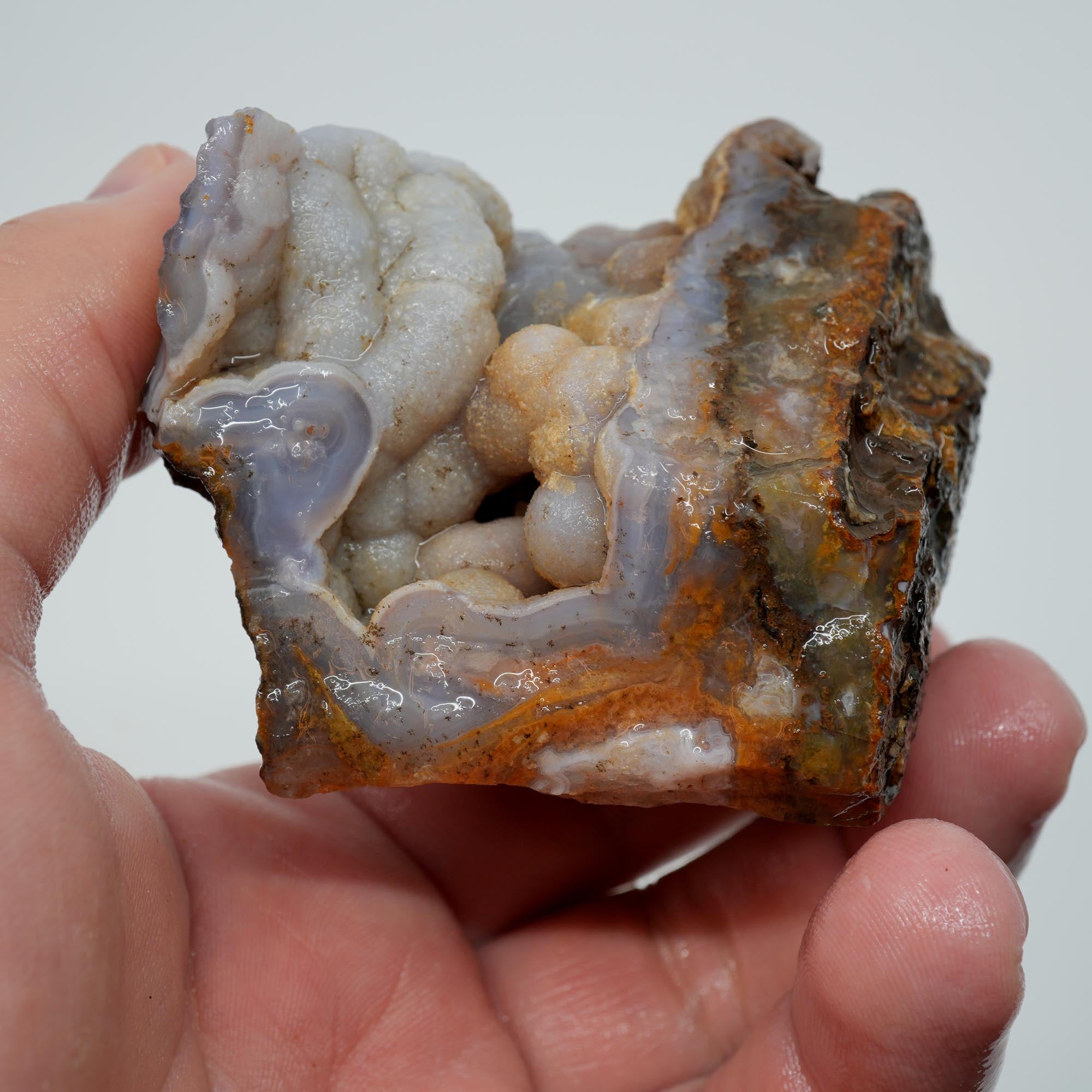 Agua Nueva Agate Rough - Deep Blue Swirl with Tube Botryoidal and Druzy