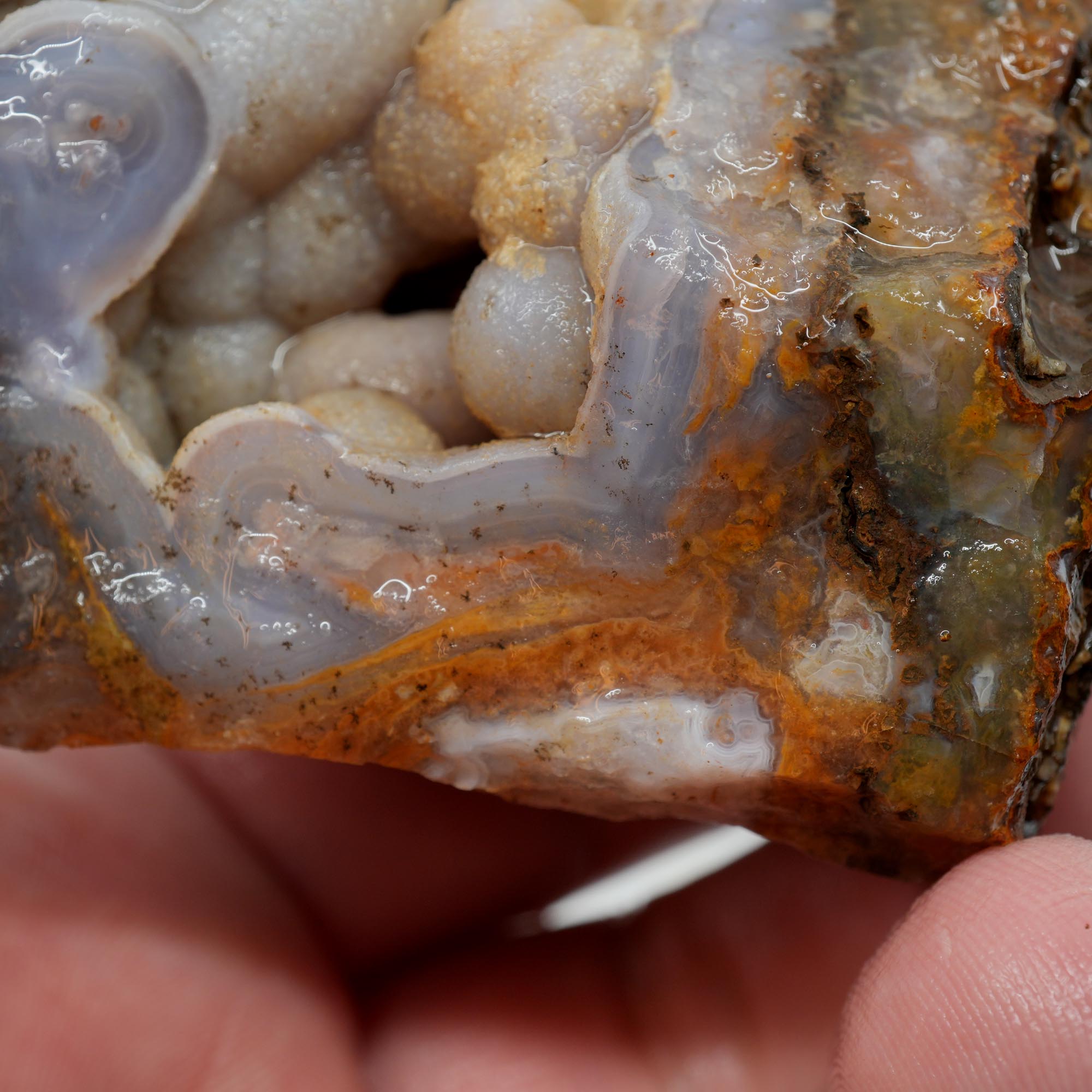 Agua Nueva Agate Rough - Deep Blue Swirl with Tube Botryoidal and Druzy