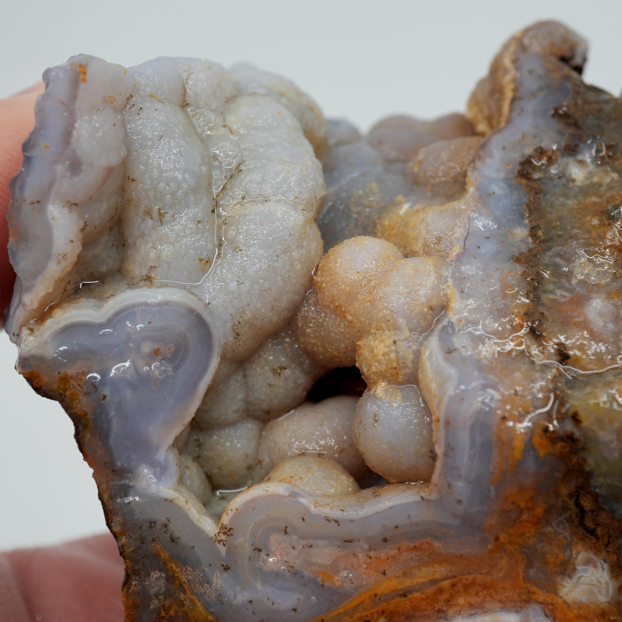 Agua Nueva Agate Rough - Deep Blue Swirl with Tube Botryoidal and Druzy