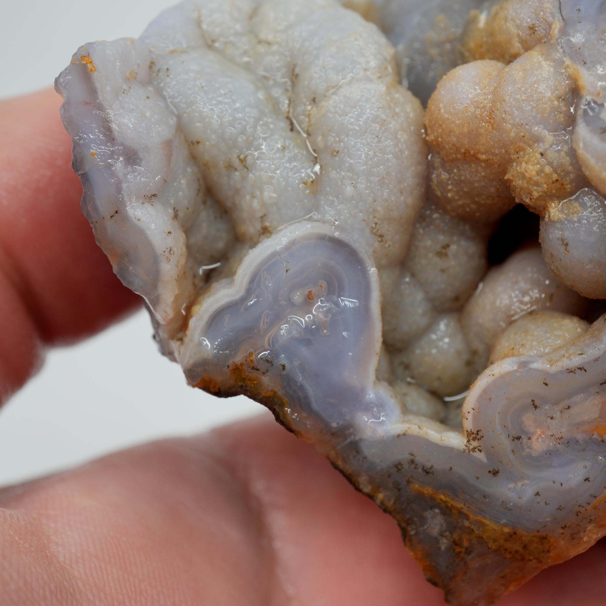 Agua Nueva Agate Rough - Deep Blue Swirl with Tube Botryoidal and Druzy