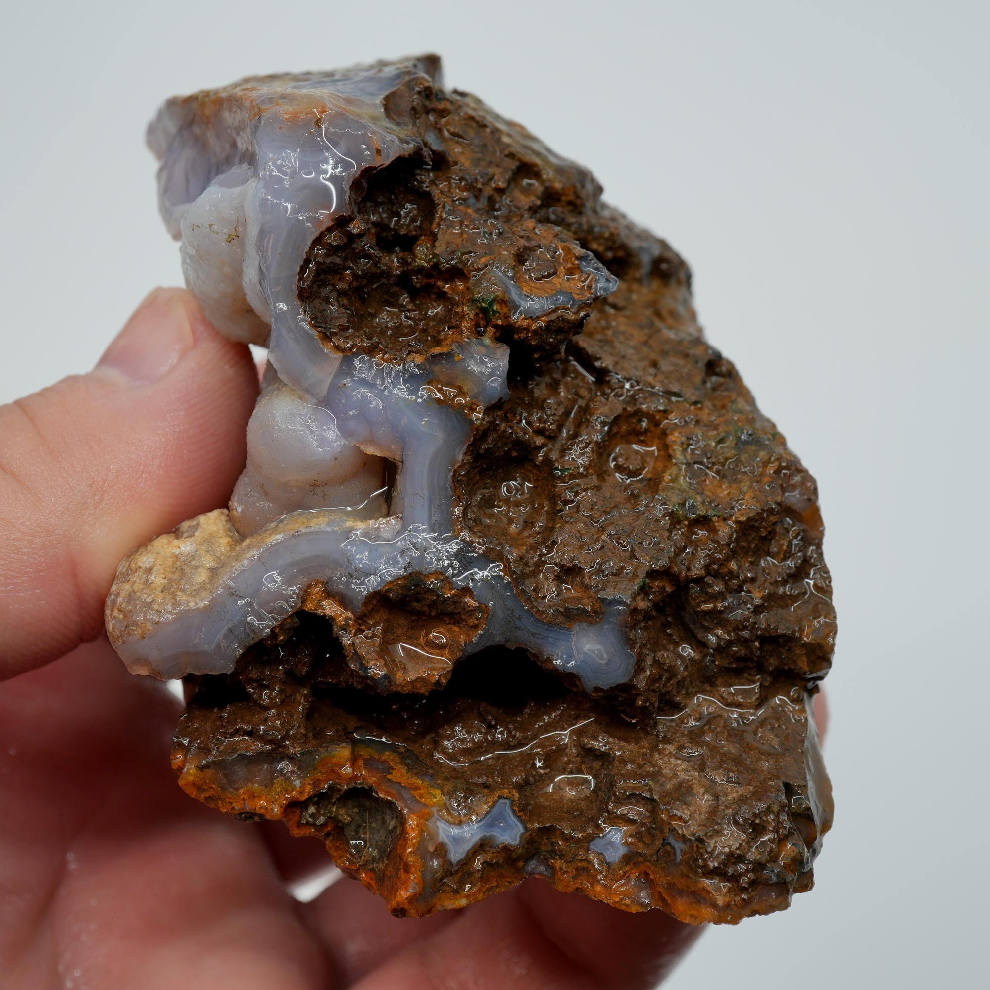 Agua Nueva Agate Rough - Deep Blue Swirl with Tube Botryoidal and Druzy