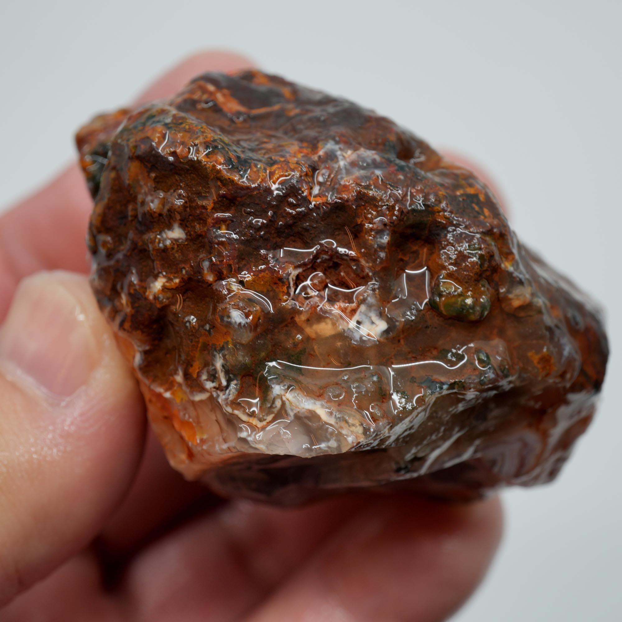 Agua Nueva Agate Rough - High-Grade Nodule Blue and Pink Fortification